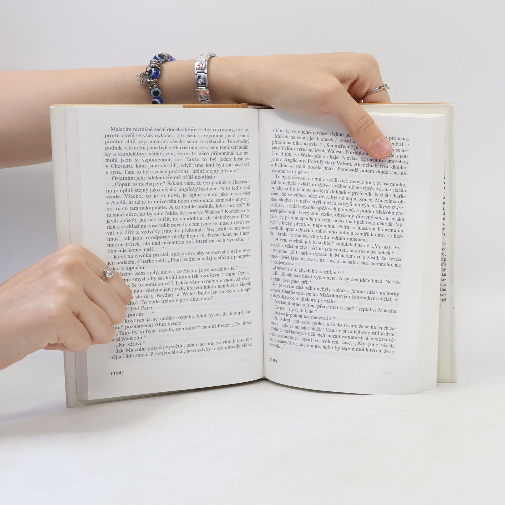 Kingsley Amis Staří parťáci