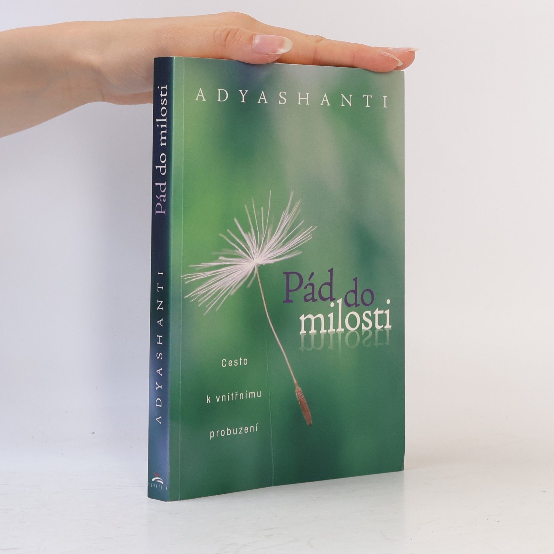 Adyashanti Pád do milosti