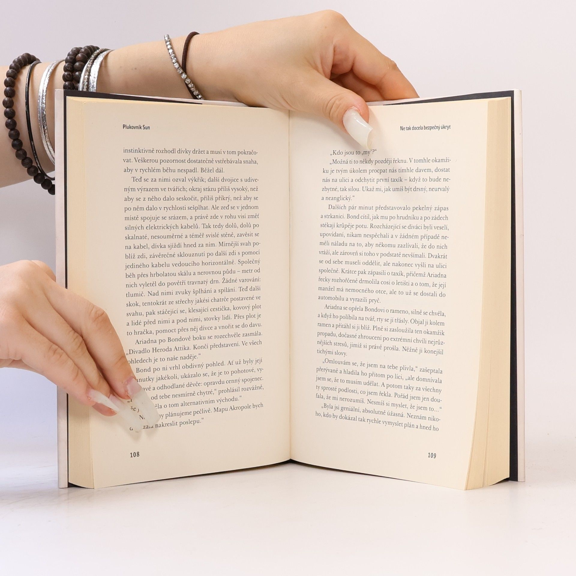 Kingsley Amis Plukovník Sun