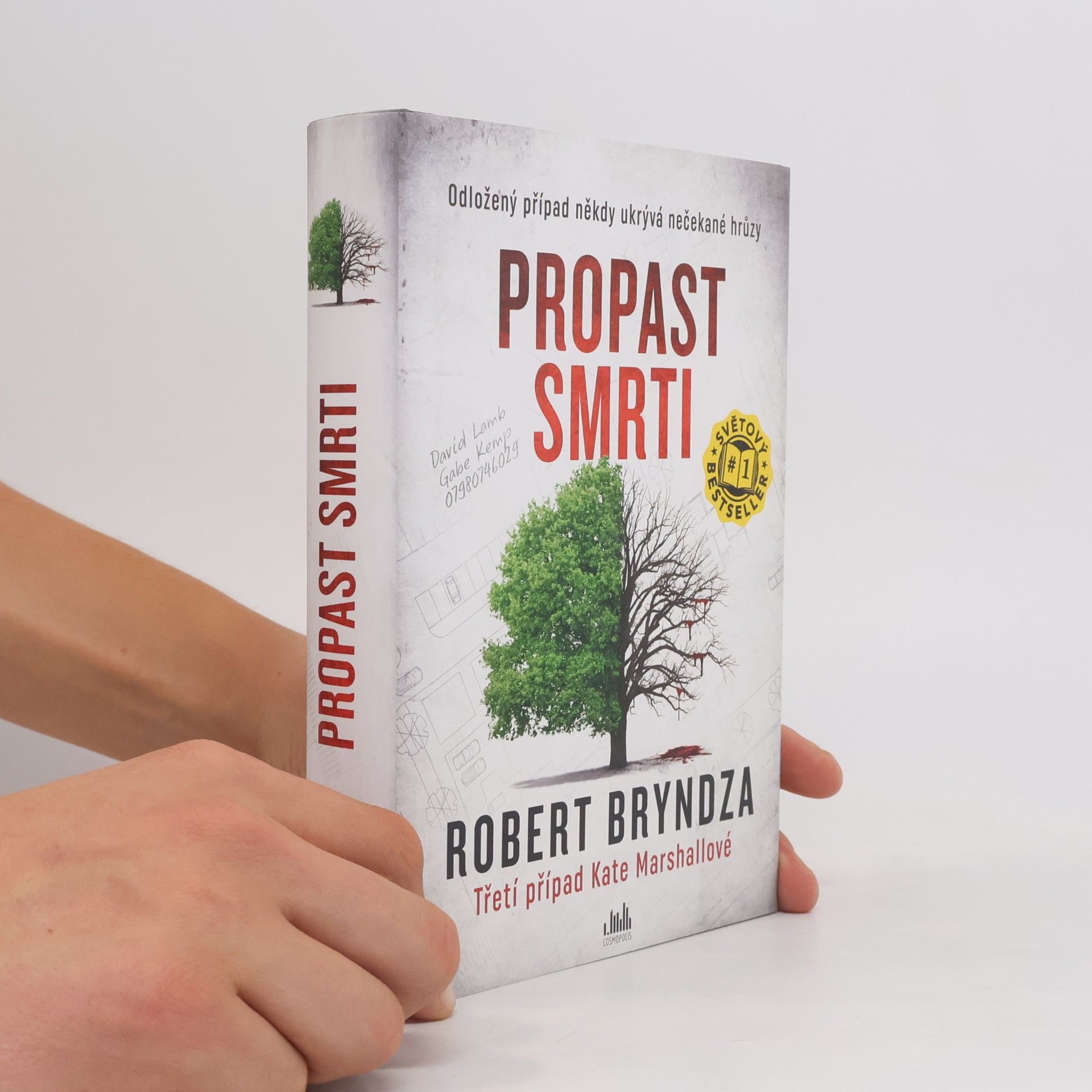 Robert Bryndza Propast smrti