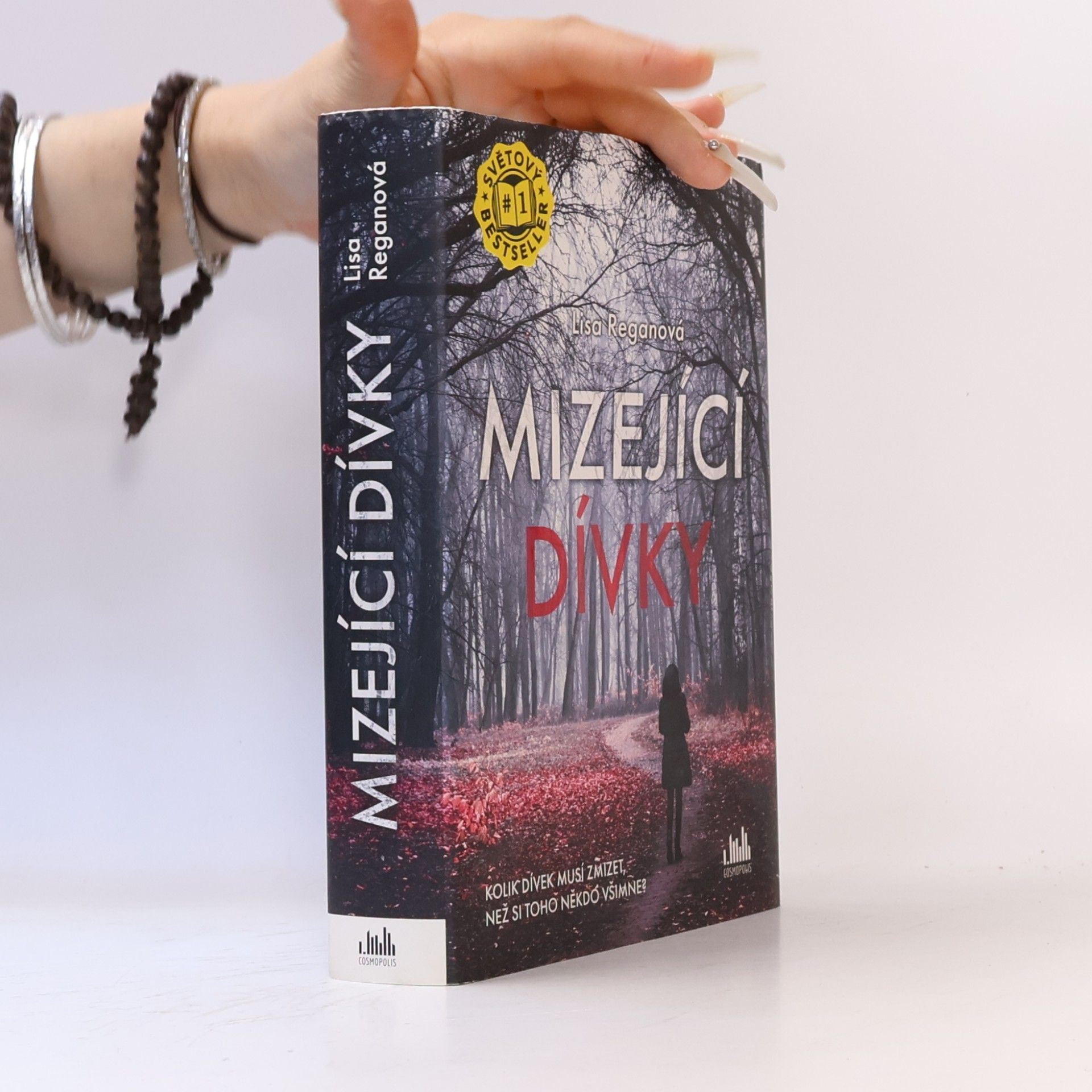 Lisa Regan Mizející dívky