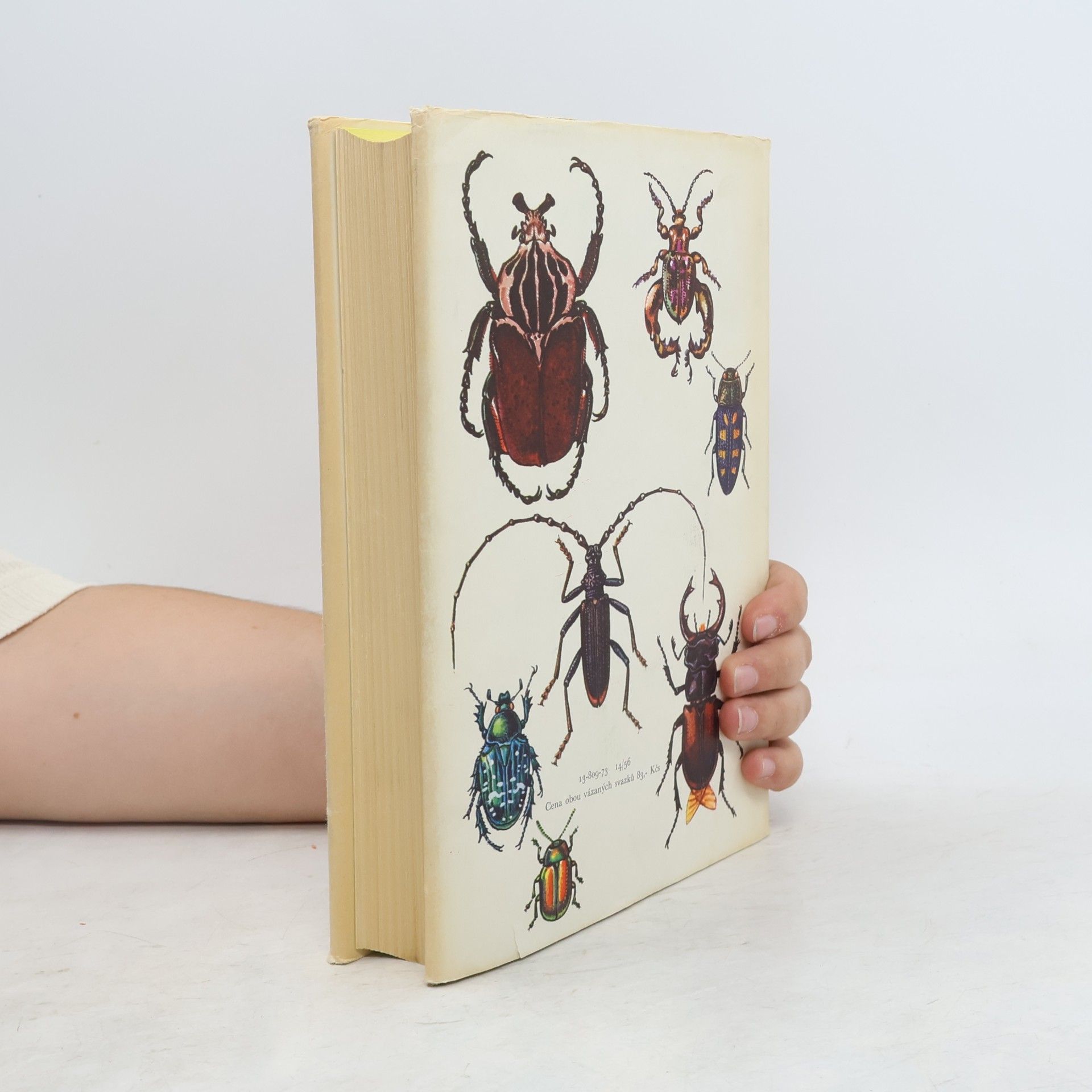 Antonín Pospíšil Světem zvířat. V. díl. 2. část, Bezobratlí