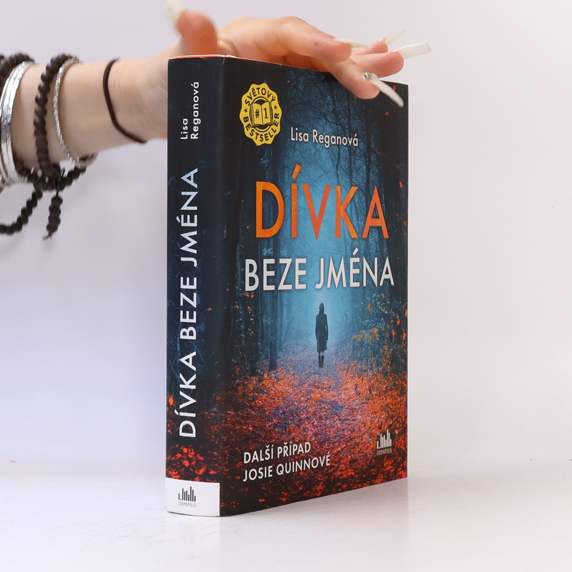 Lisa Regan Dívka beze jména: Další případ Josie Quinnové