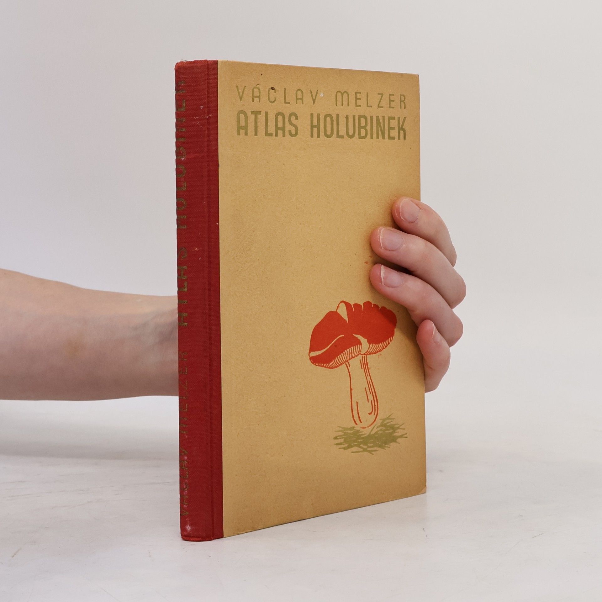 V. Melzer Atlas holubinek