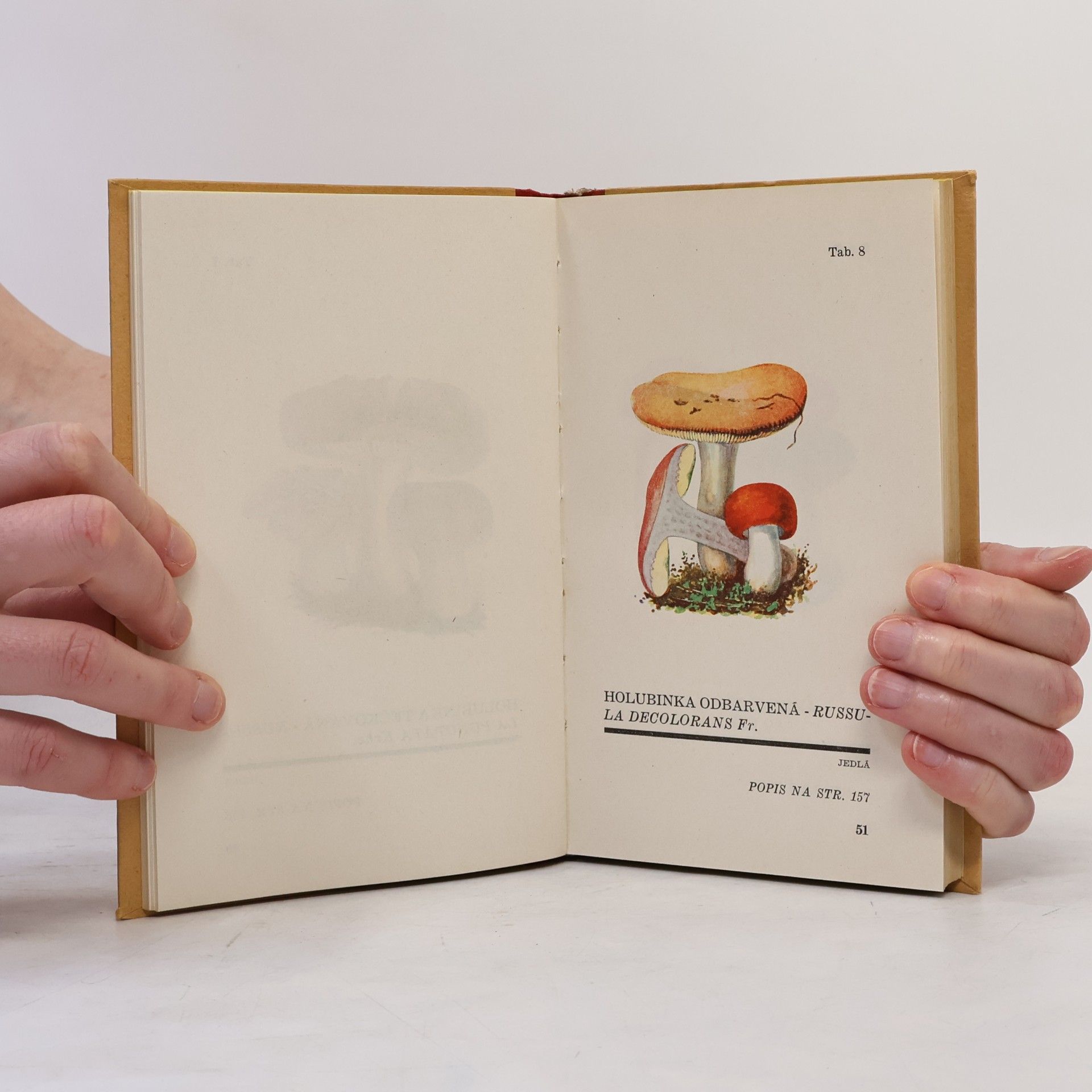 V. Melzer Atlas holubinek