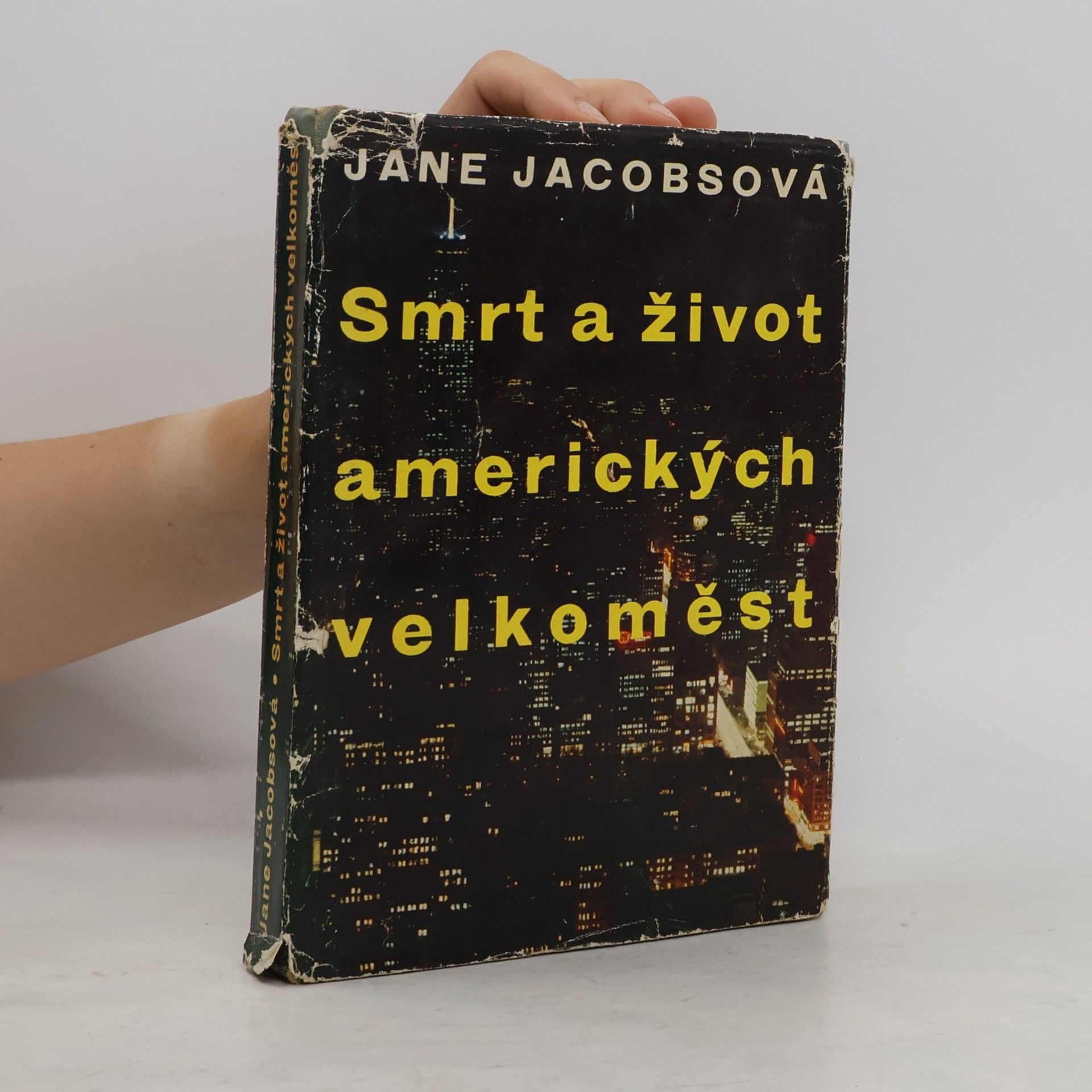 Jane Jacobs Smrt a život amerických velkoměst