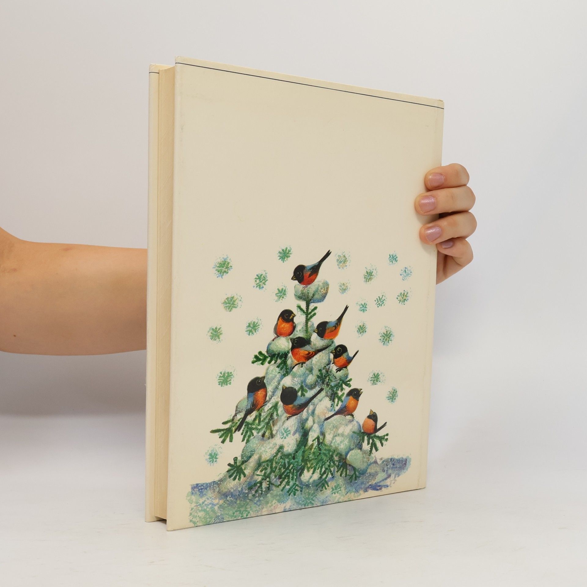 Auteurscollectief The Book of Goodnight Stories