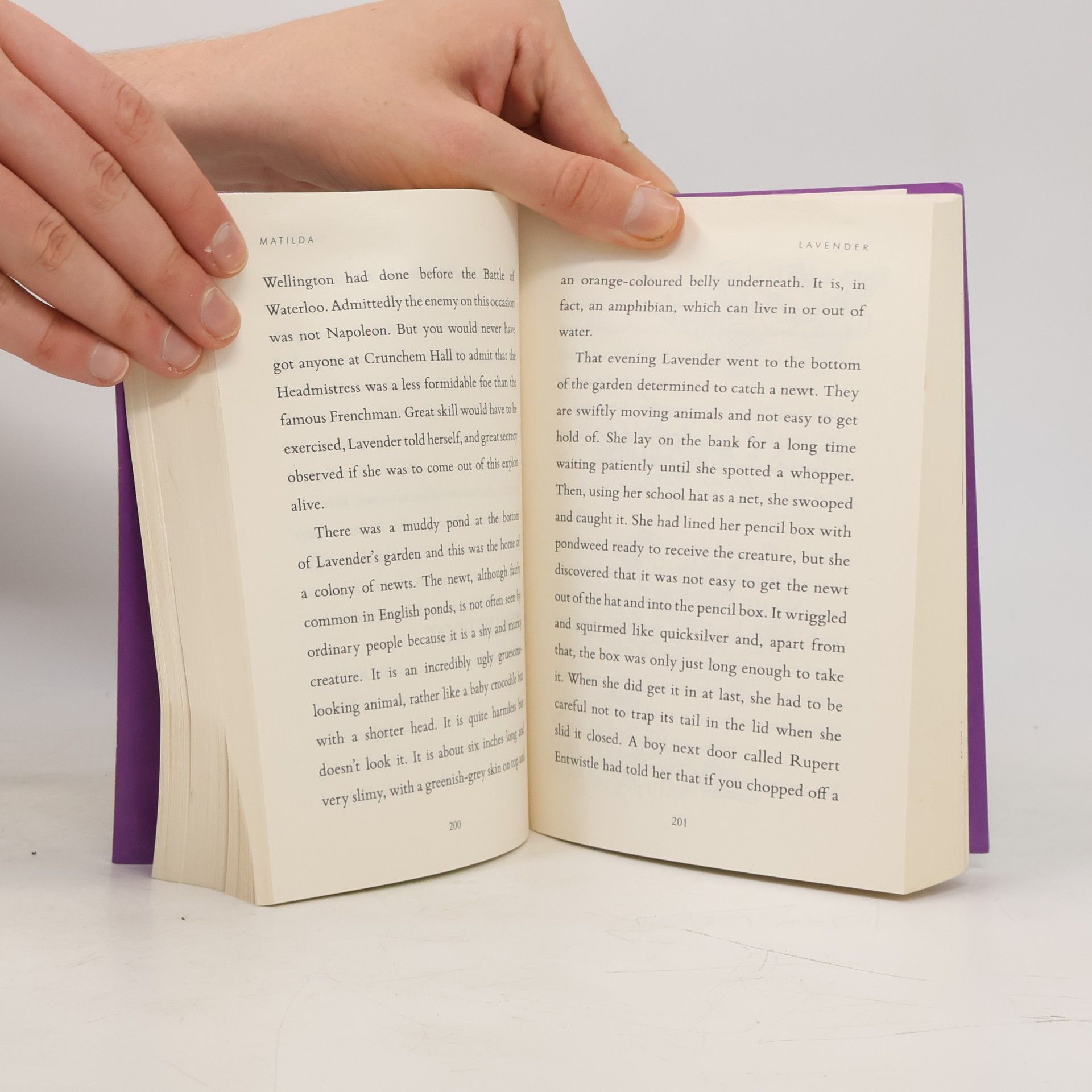 Roald Dahl Matilda