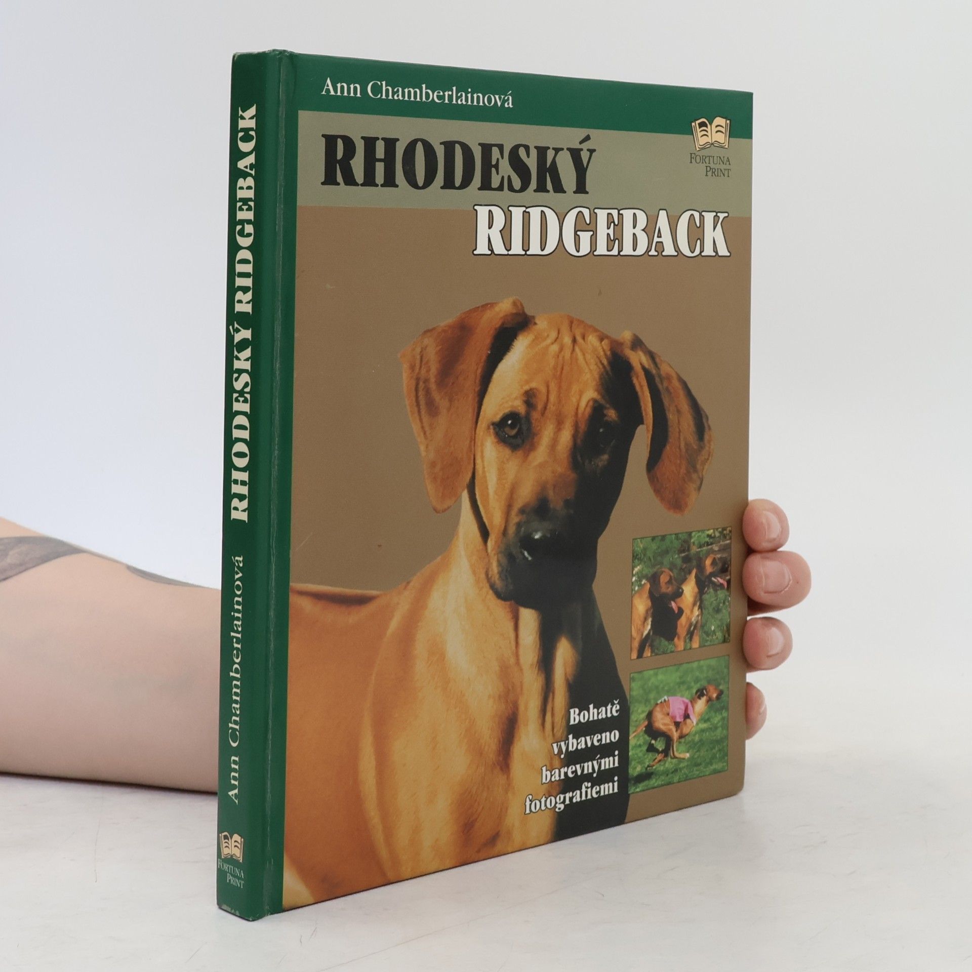 Ann Chamberlain Rhodeský ridgeback