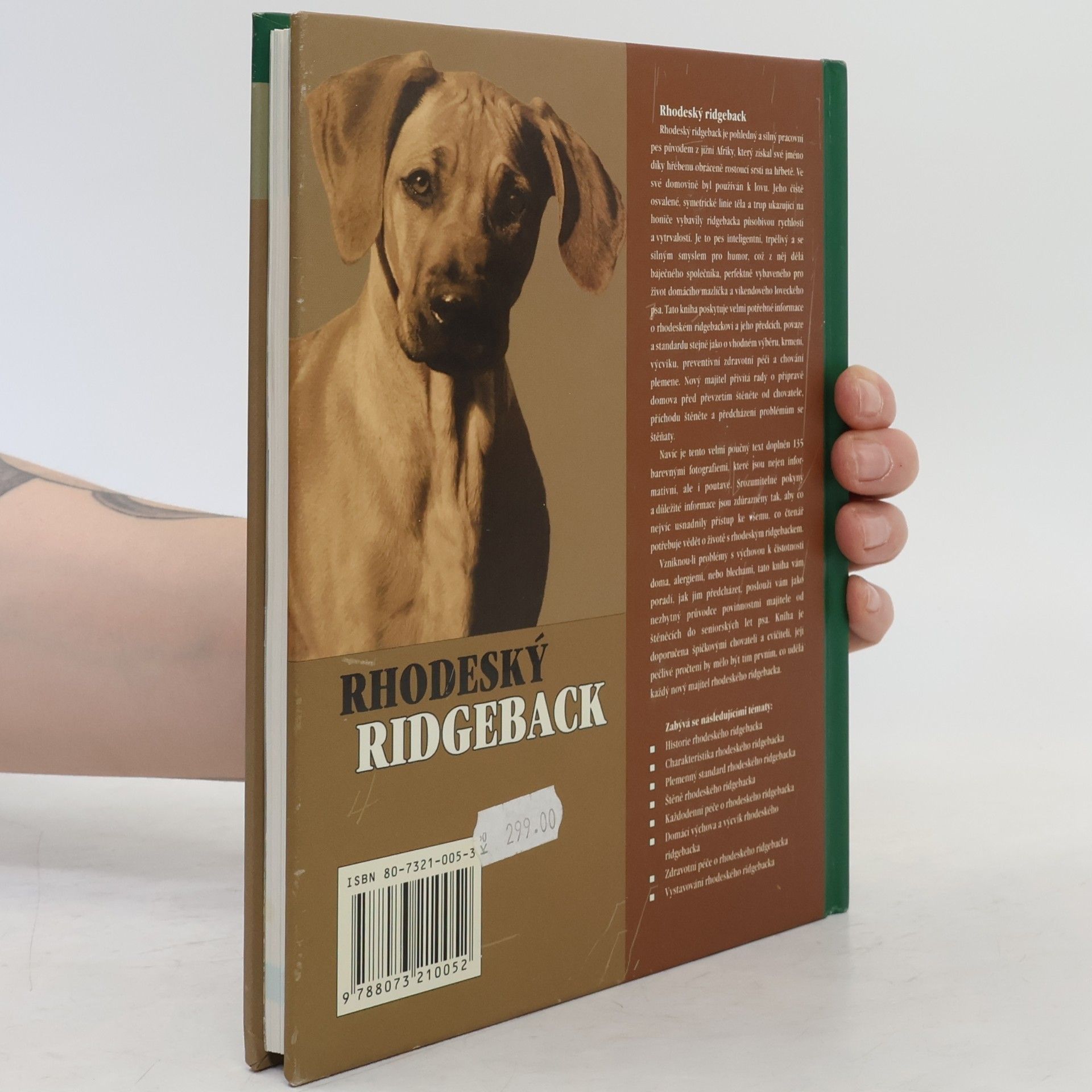 Ann Chamberlain Rhodeský ridgeback