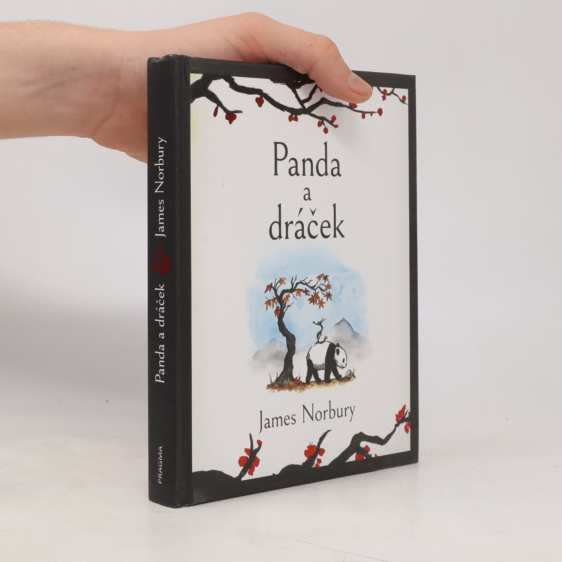 James Norbury Panda a dráček
