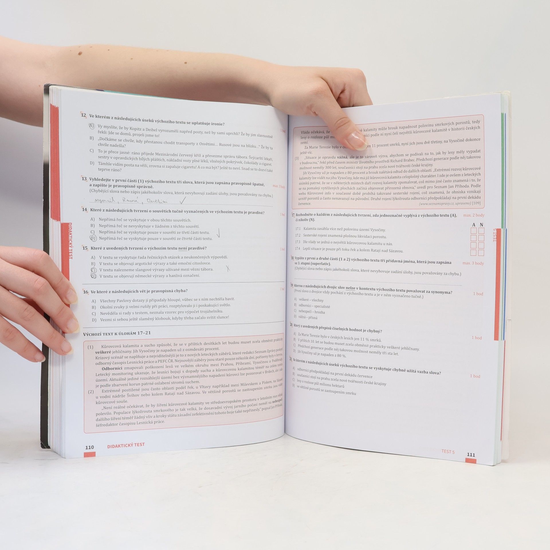 Auteurscollectief Maturita v pohodě. Český jazyk a literatura