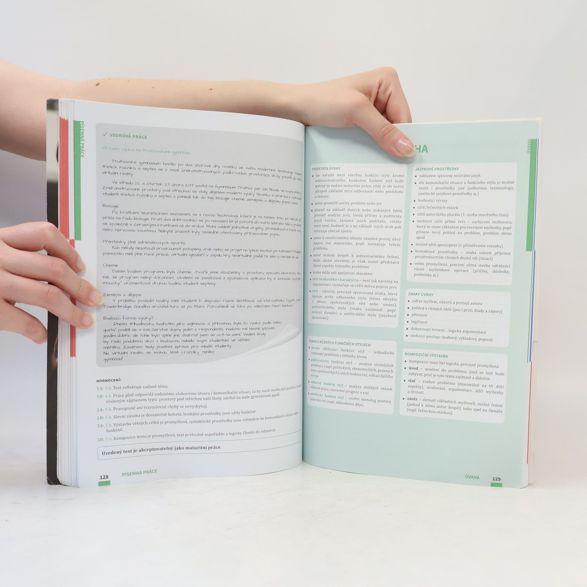 Auteurscollectief Maturita v pohodě. Český jazyk a literatura