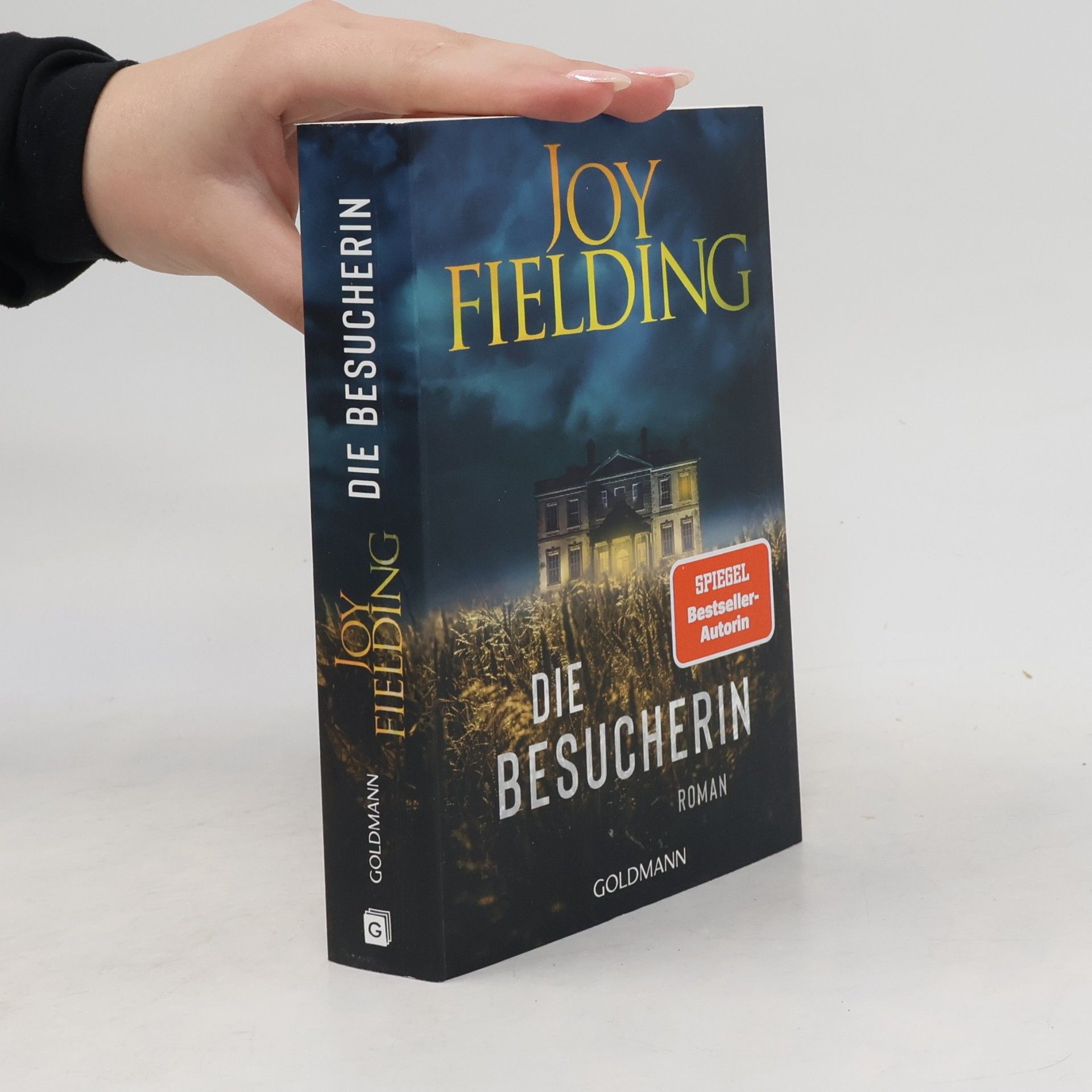 Joy Fielding Die Besucherin