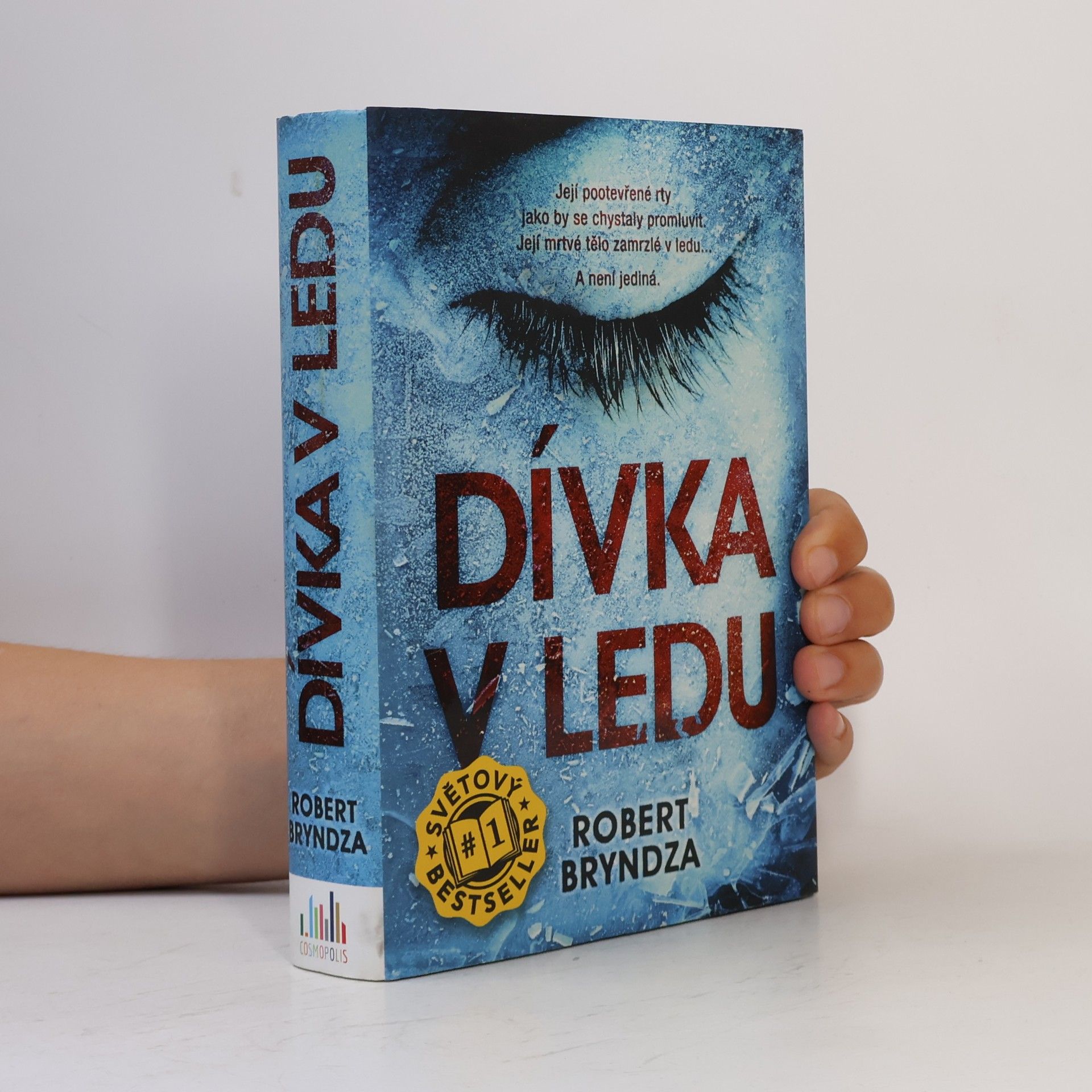 Robert Bryndza Dívka v ledu