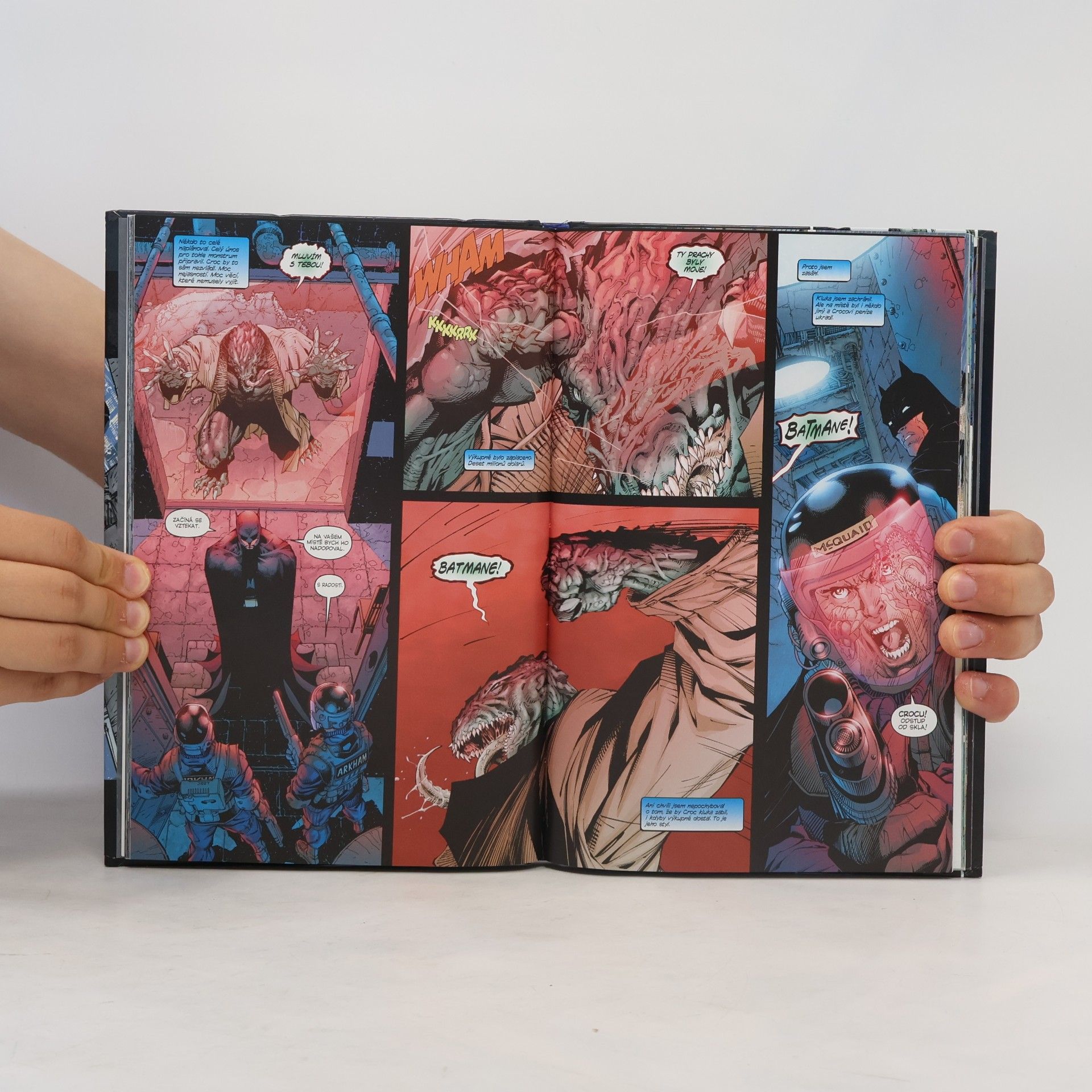 Jeph Loeb Batman: Ticho - Kniha první