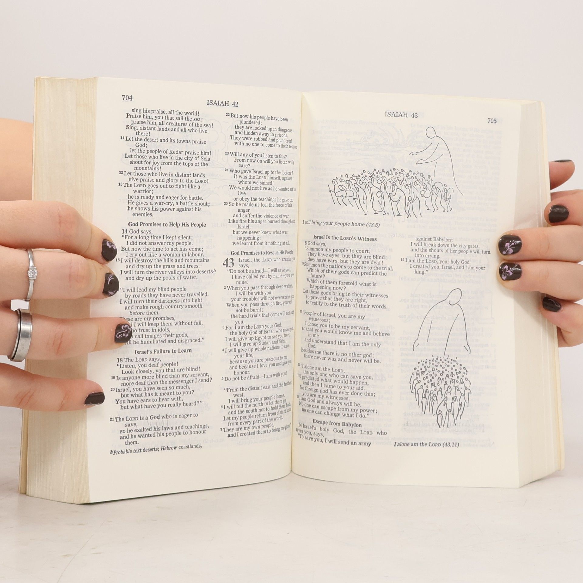 Autorenkollektiv Good News Bible
