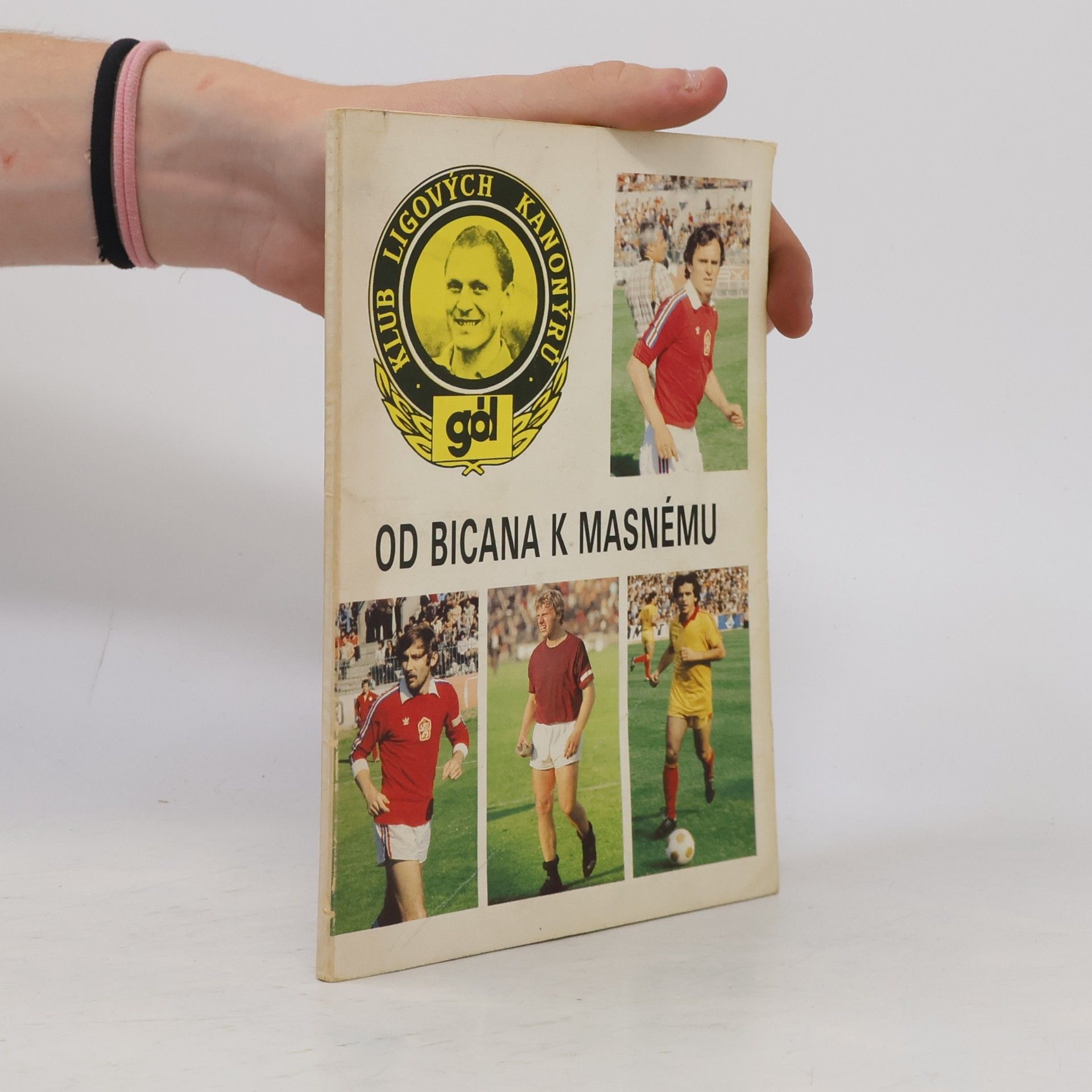 Hrubý a. kol Dolejš Od Bicana k Masnému