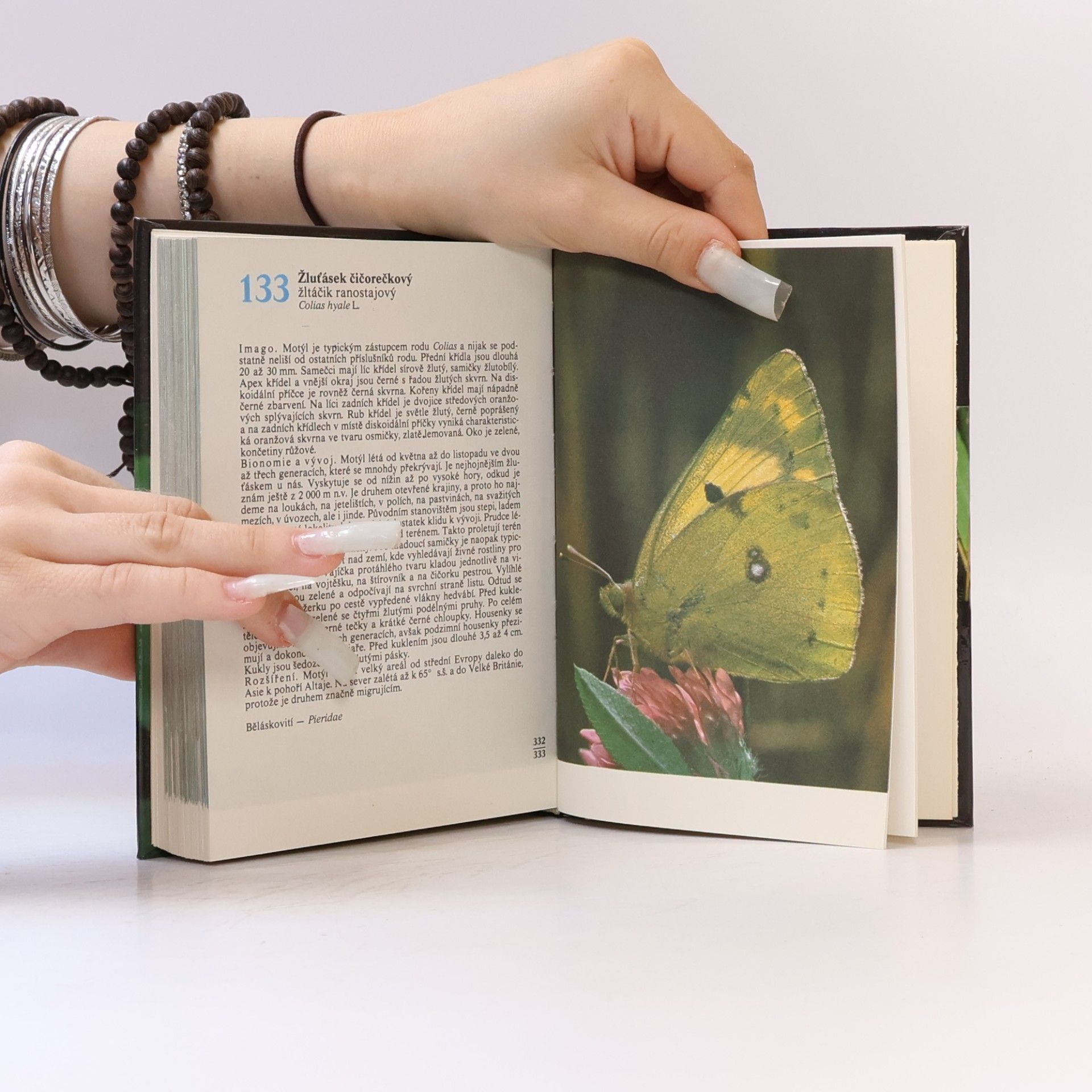 Rudolf Hrabák Kapesní atlas našich motýlů