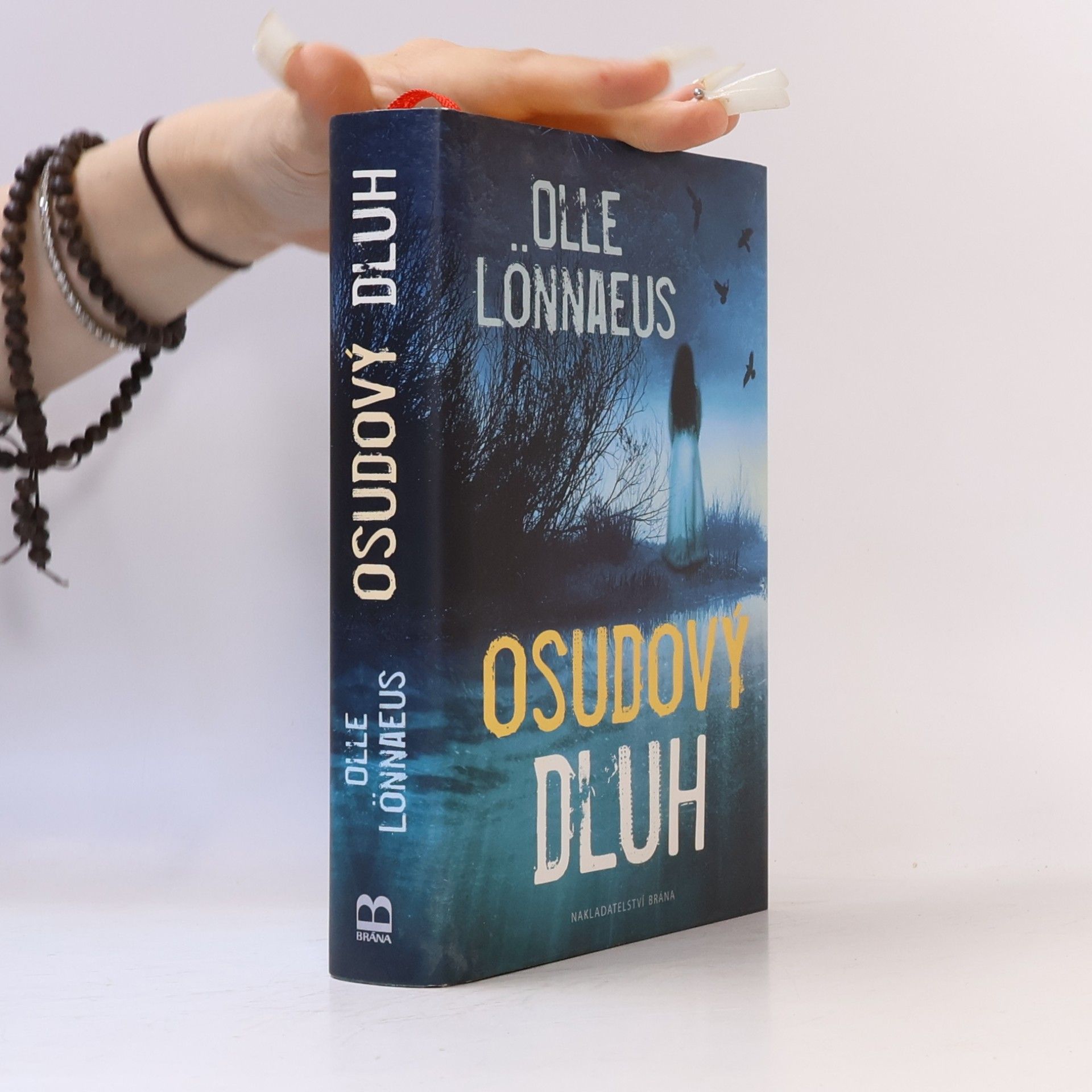 Petra Heß Osudový dluh
