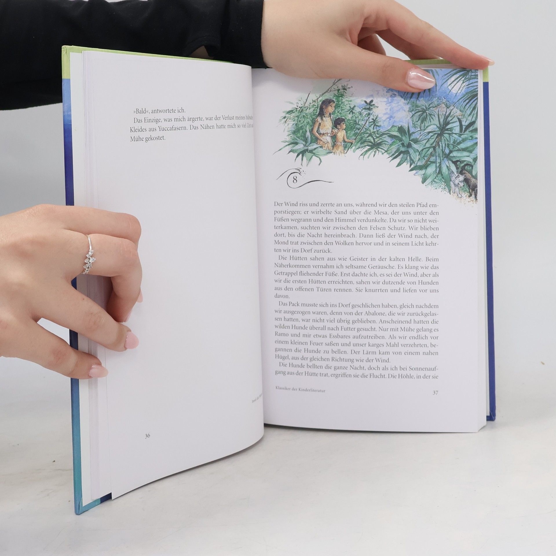 Scott O'Dell Insel der blauen Delphine