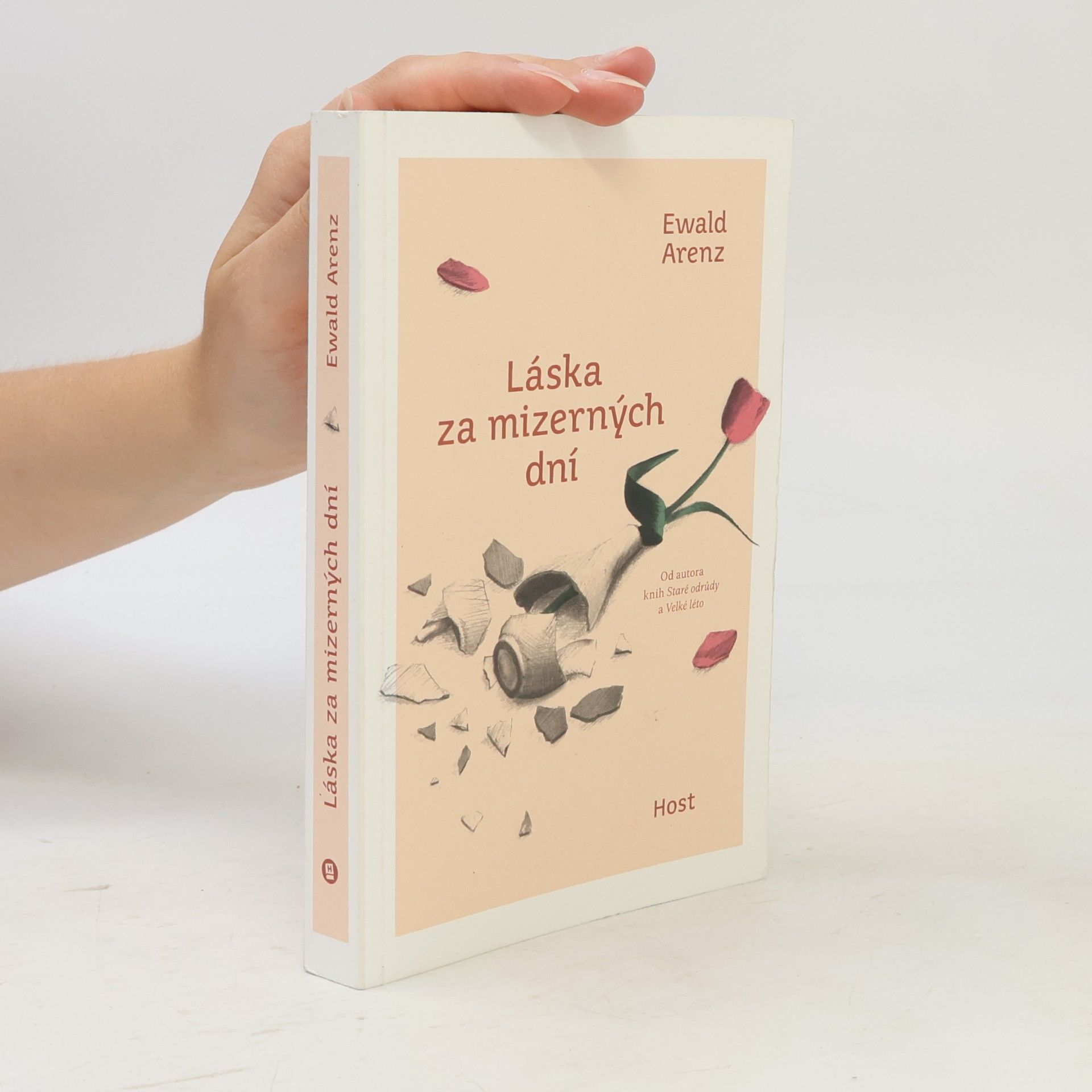 Ewald Arenz Láska za mizerných dní