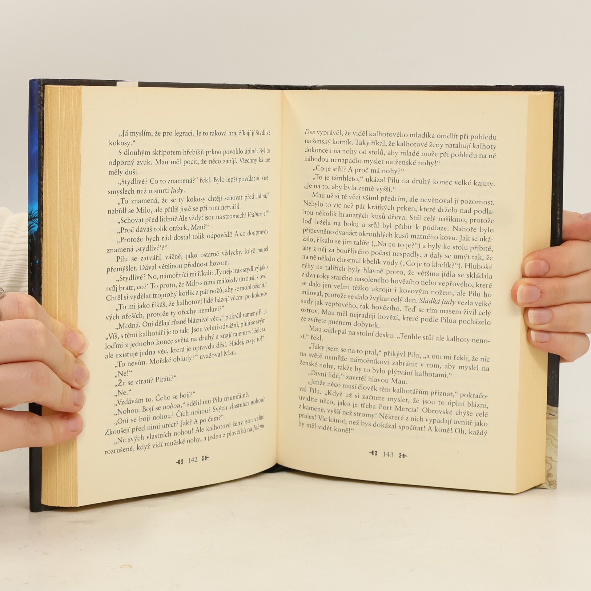 Terry Pratchett Národ