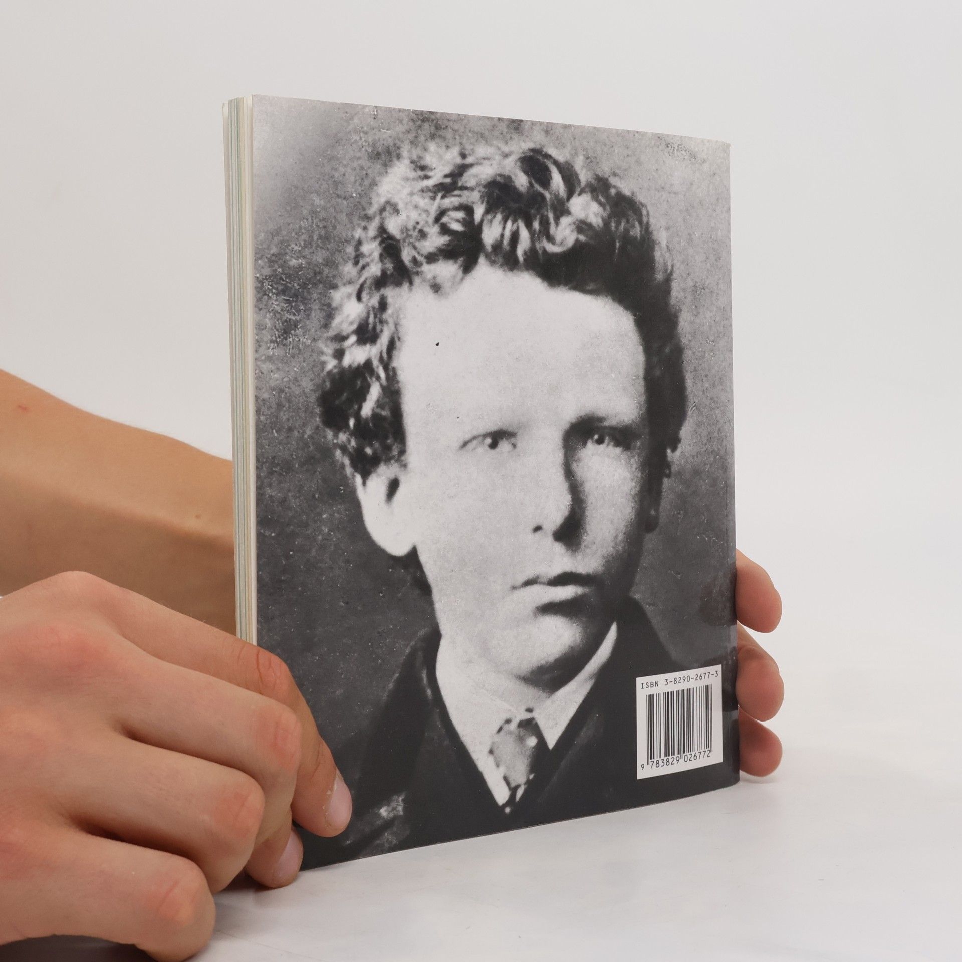Dieter Beaujean Vincent van Gogh