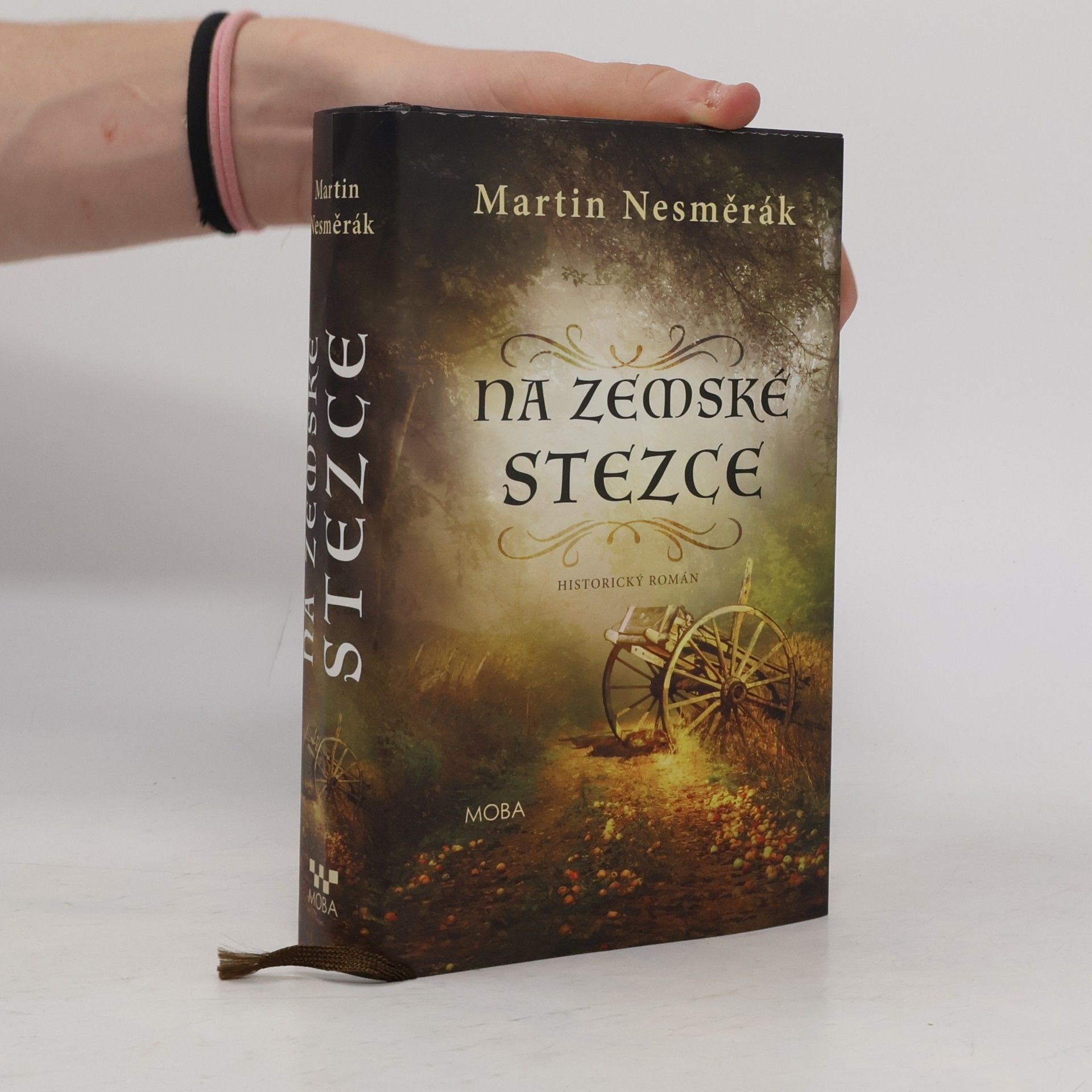 Martin Nesměrák Na zemské stezce