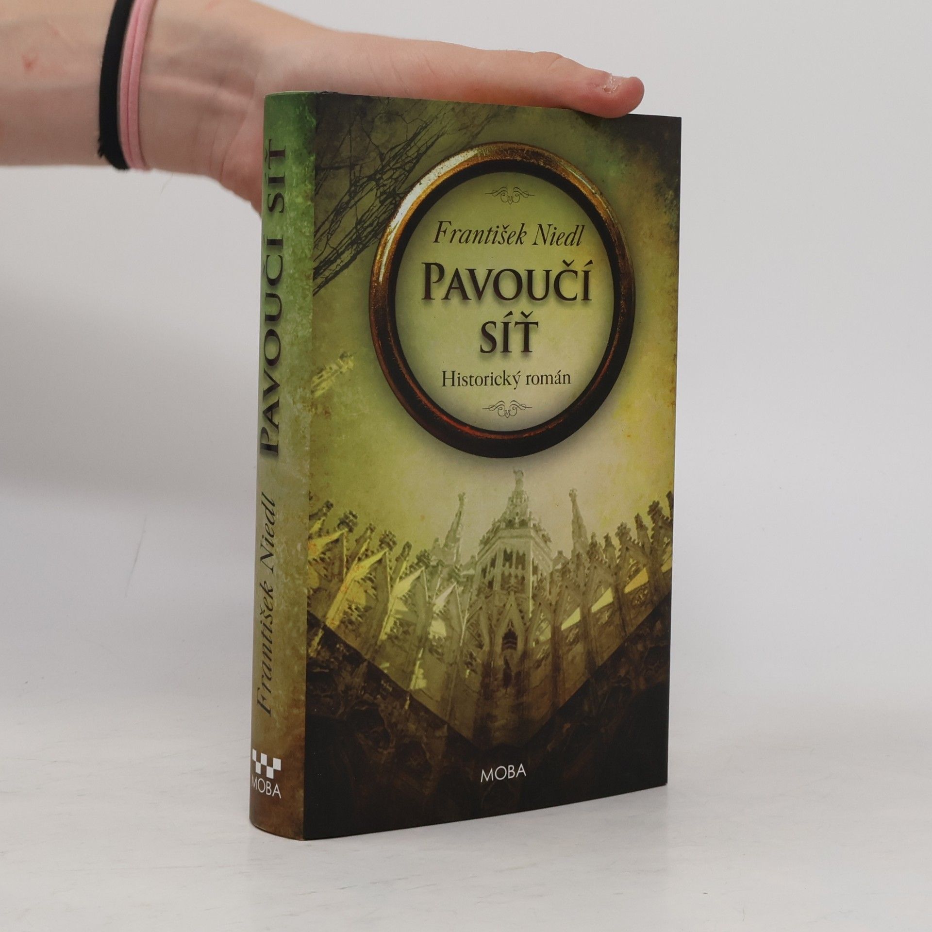 František Niedl Pavoučí síť