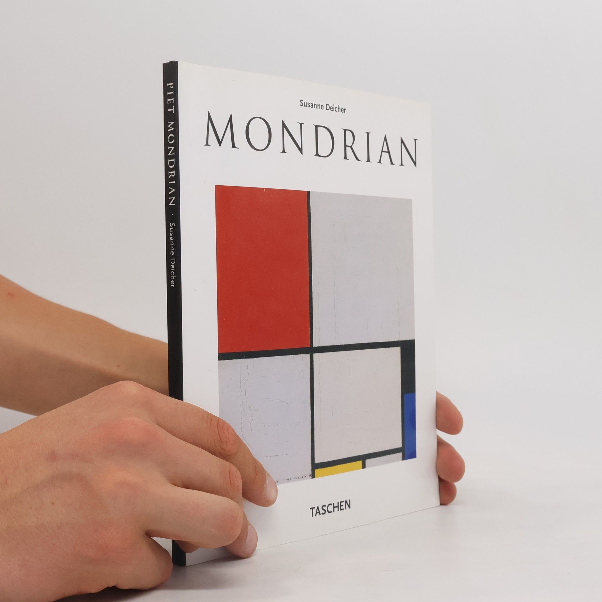 Susanne Deicher Mondrian