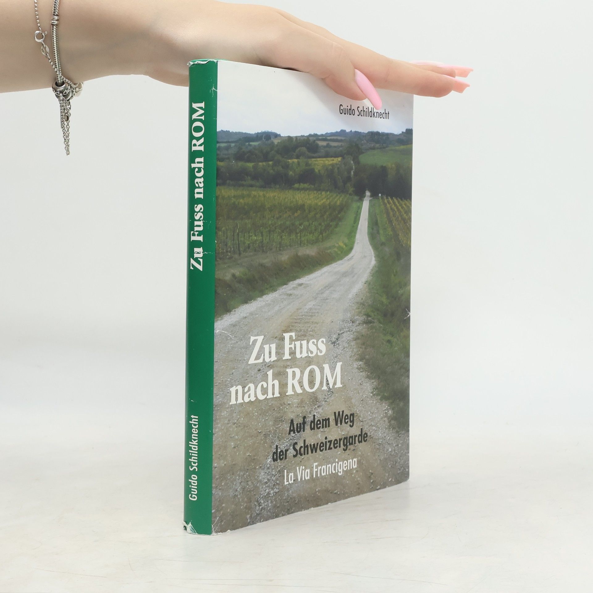 Zu Fuss nach Rom