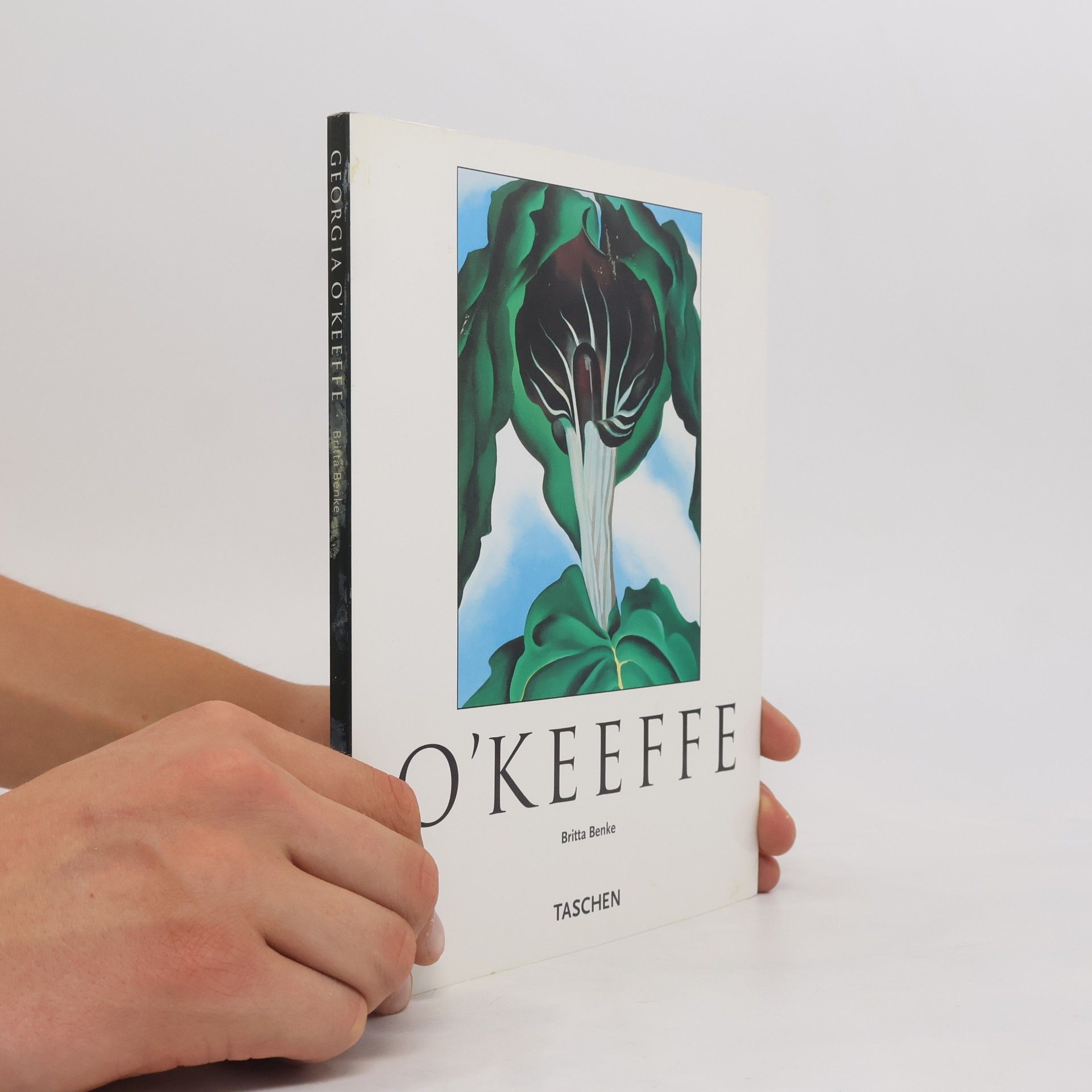 Georgia O'Keeffe O'Keeffe. Kleine Reihe - Kunst