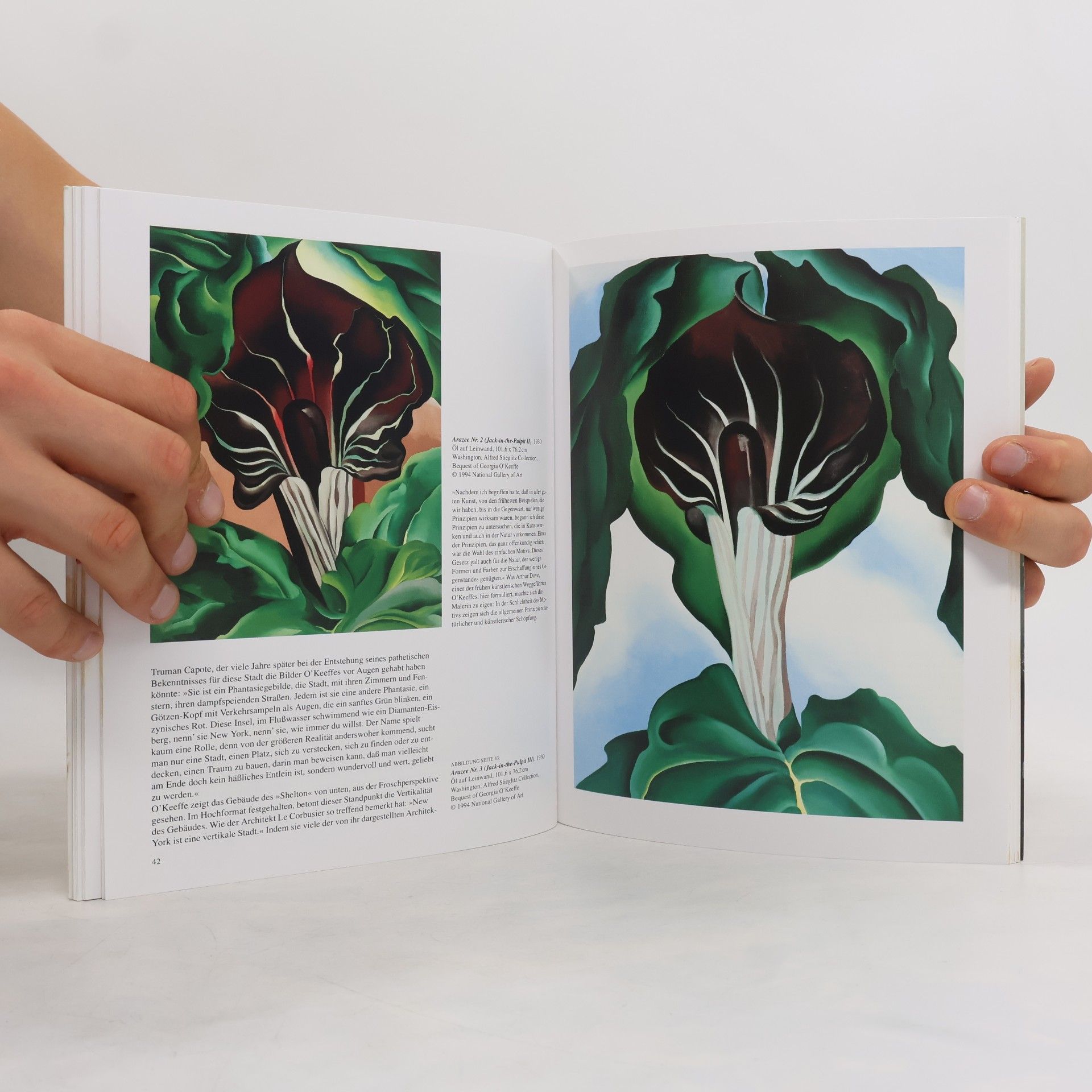 Georgia O. Keeffe O'Keeffe. Kleine Reihe - Kunst