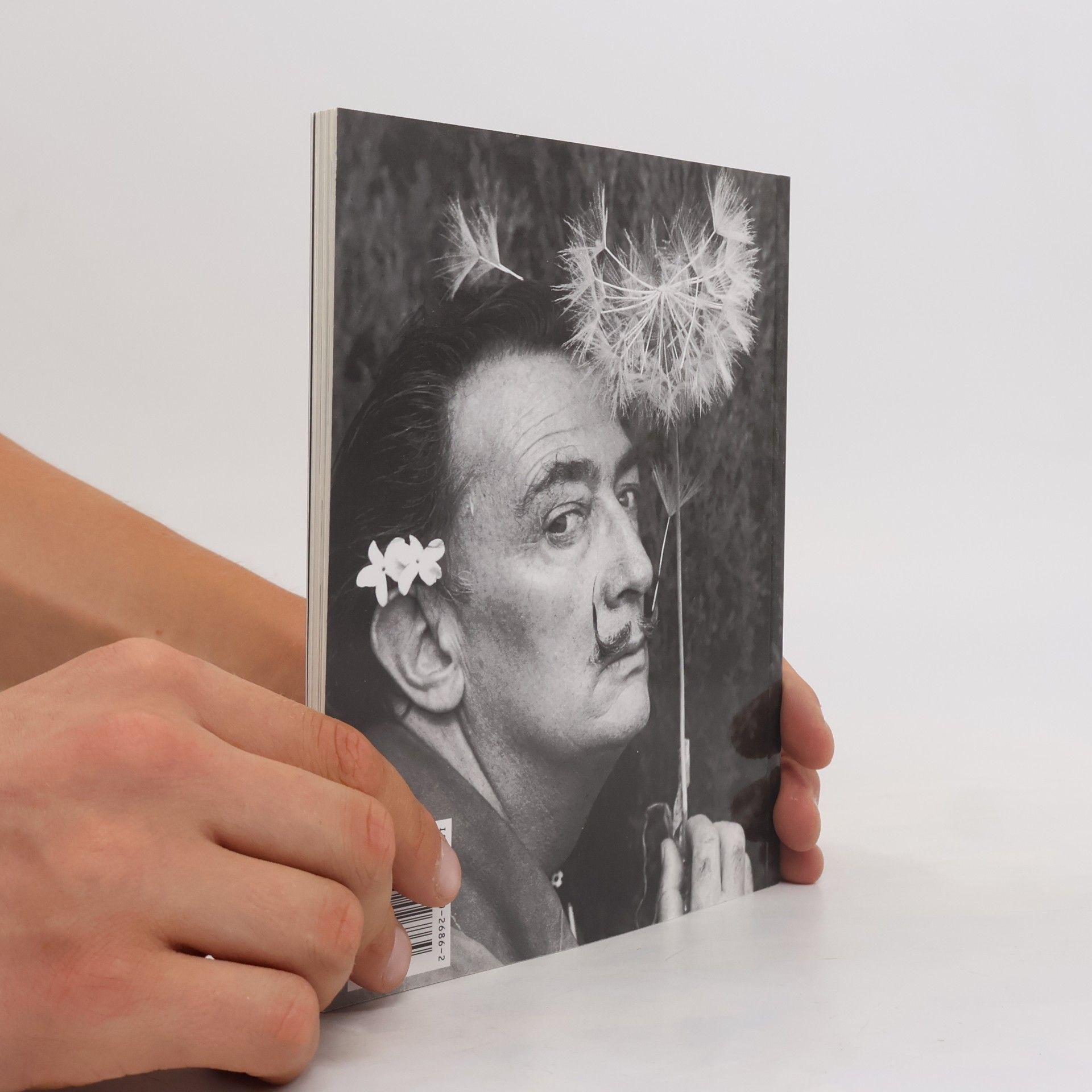 Autorenkollektiv Dalí
