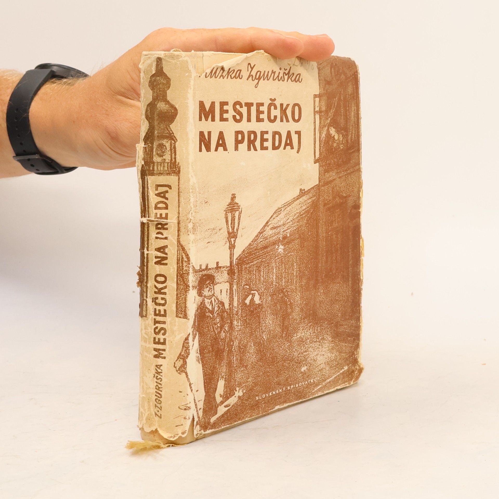 Zuzka Zguriška Mestečko na predaj