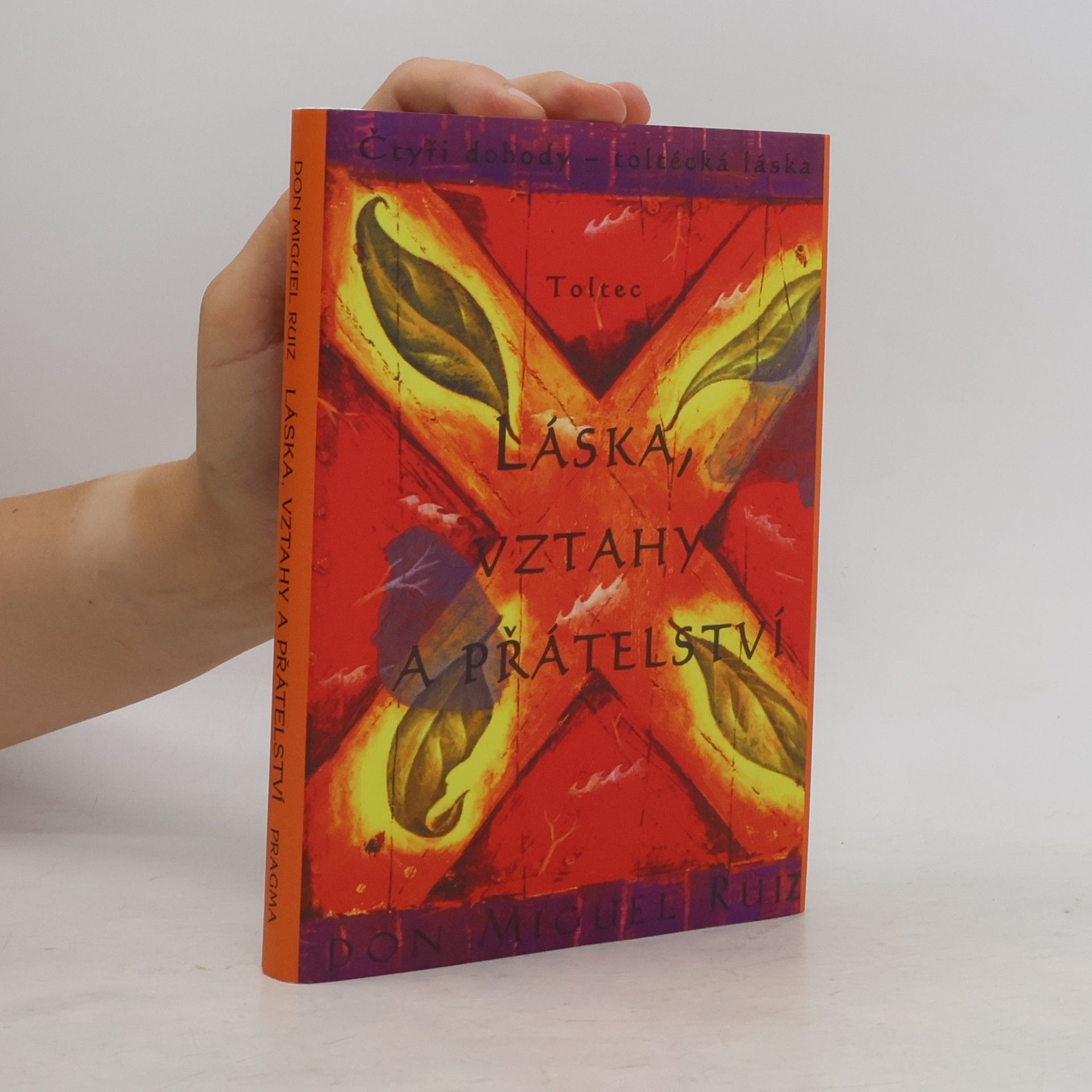 Don Miguel Ruiz Láska, vztahy a přátelství