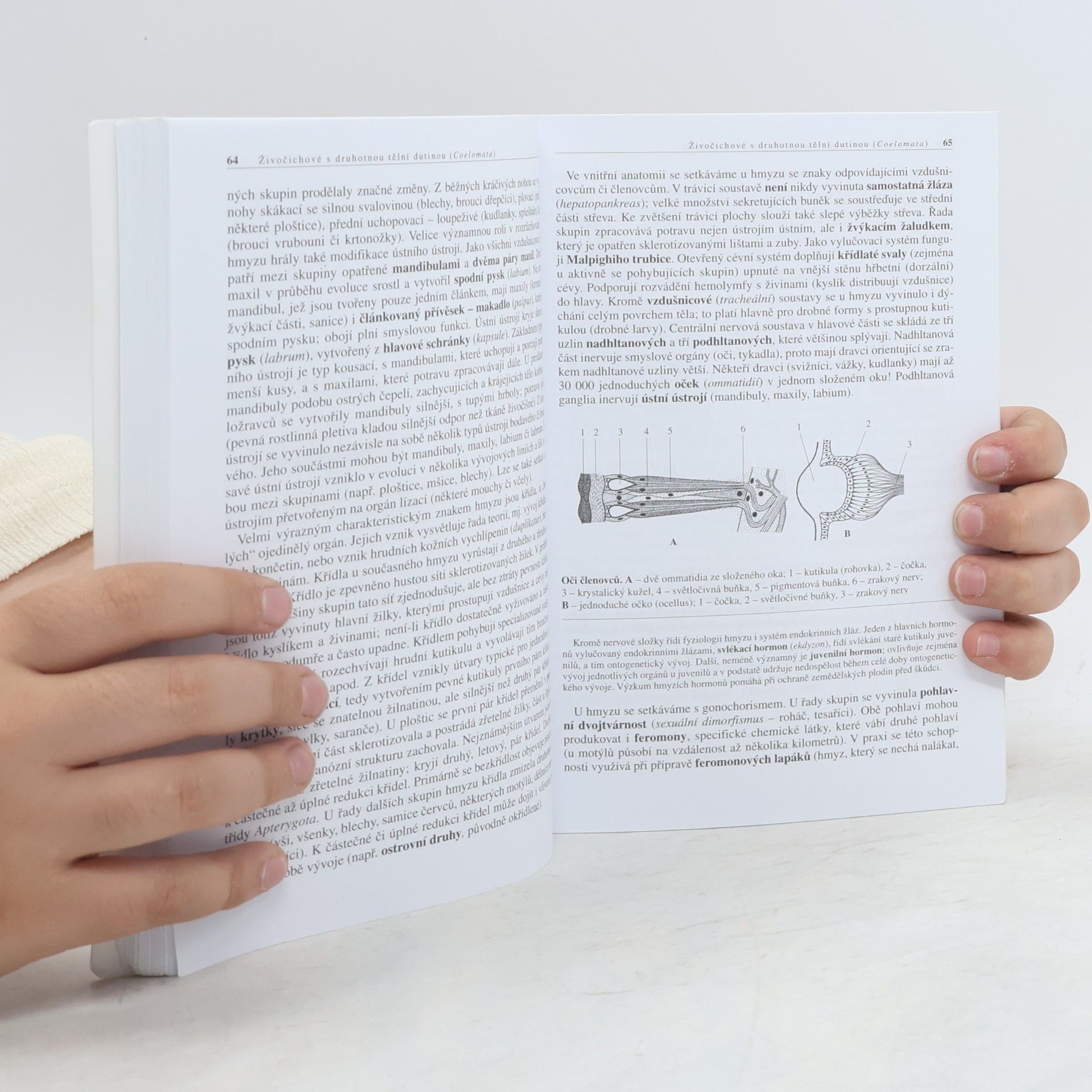Miroslav Švátora Biologie živočichů pro gymnázia