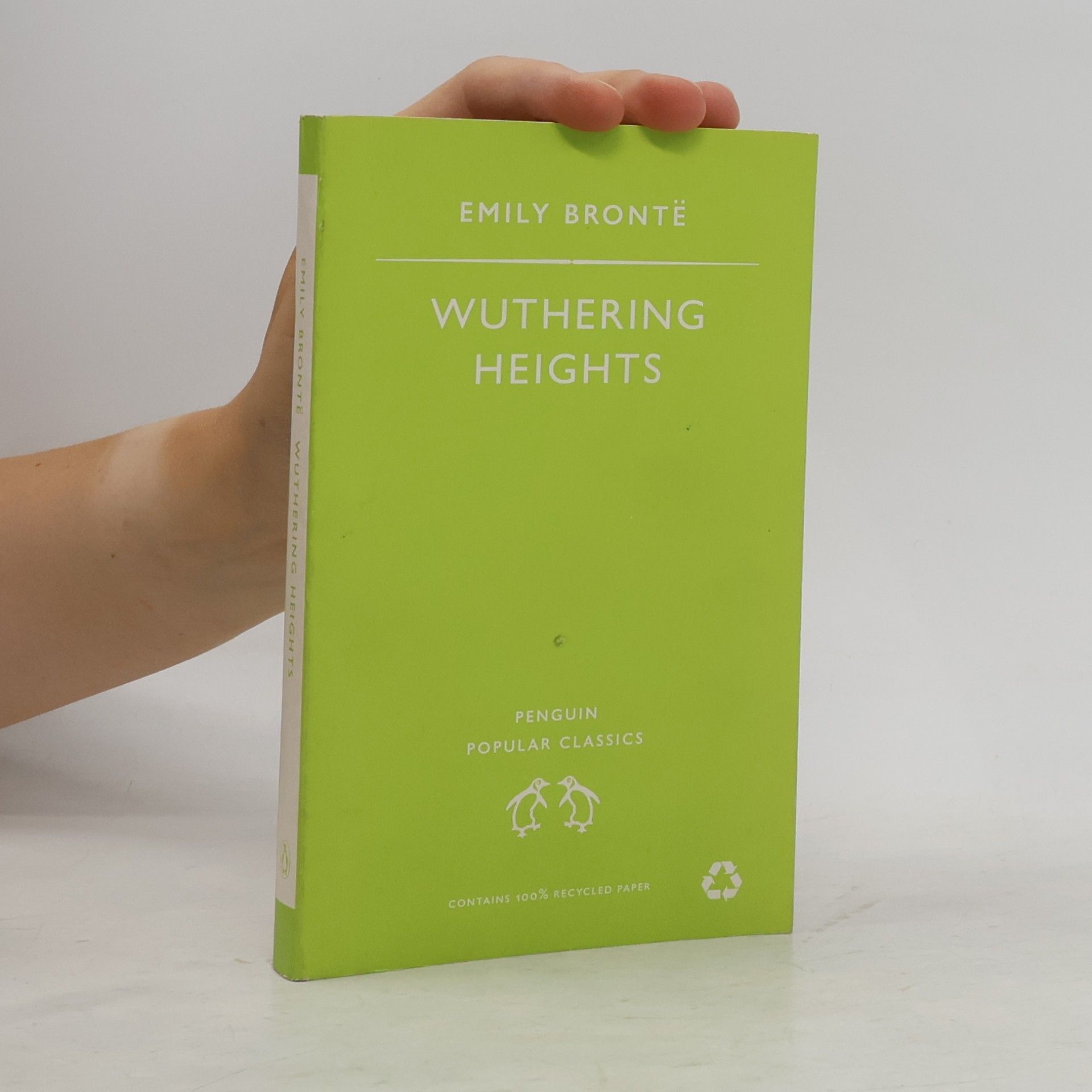 Emily Brontë Wuthering Heights