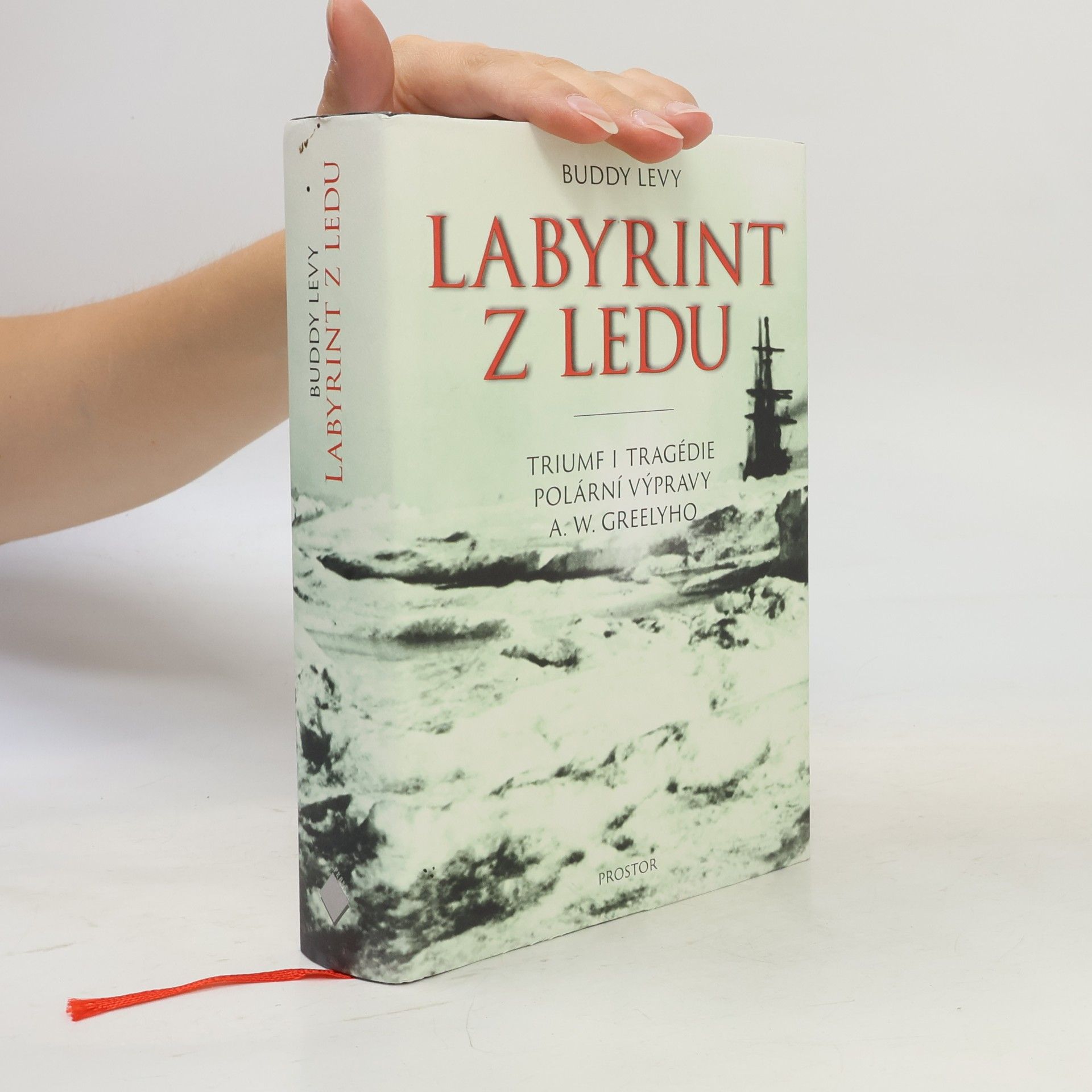 Buddy Levy Labyrint z ledu