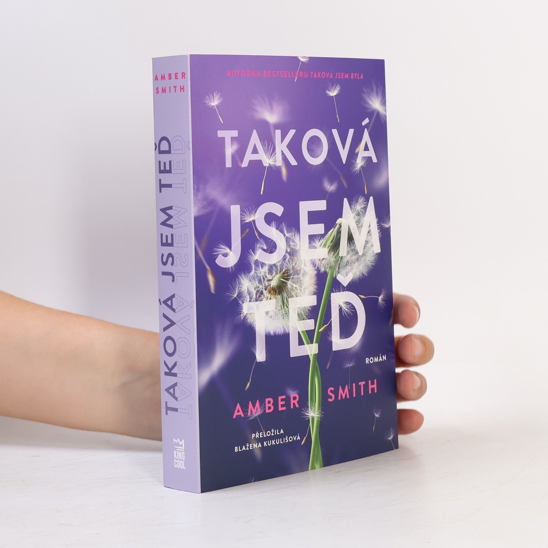Amber Smith Taková jsem teď
