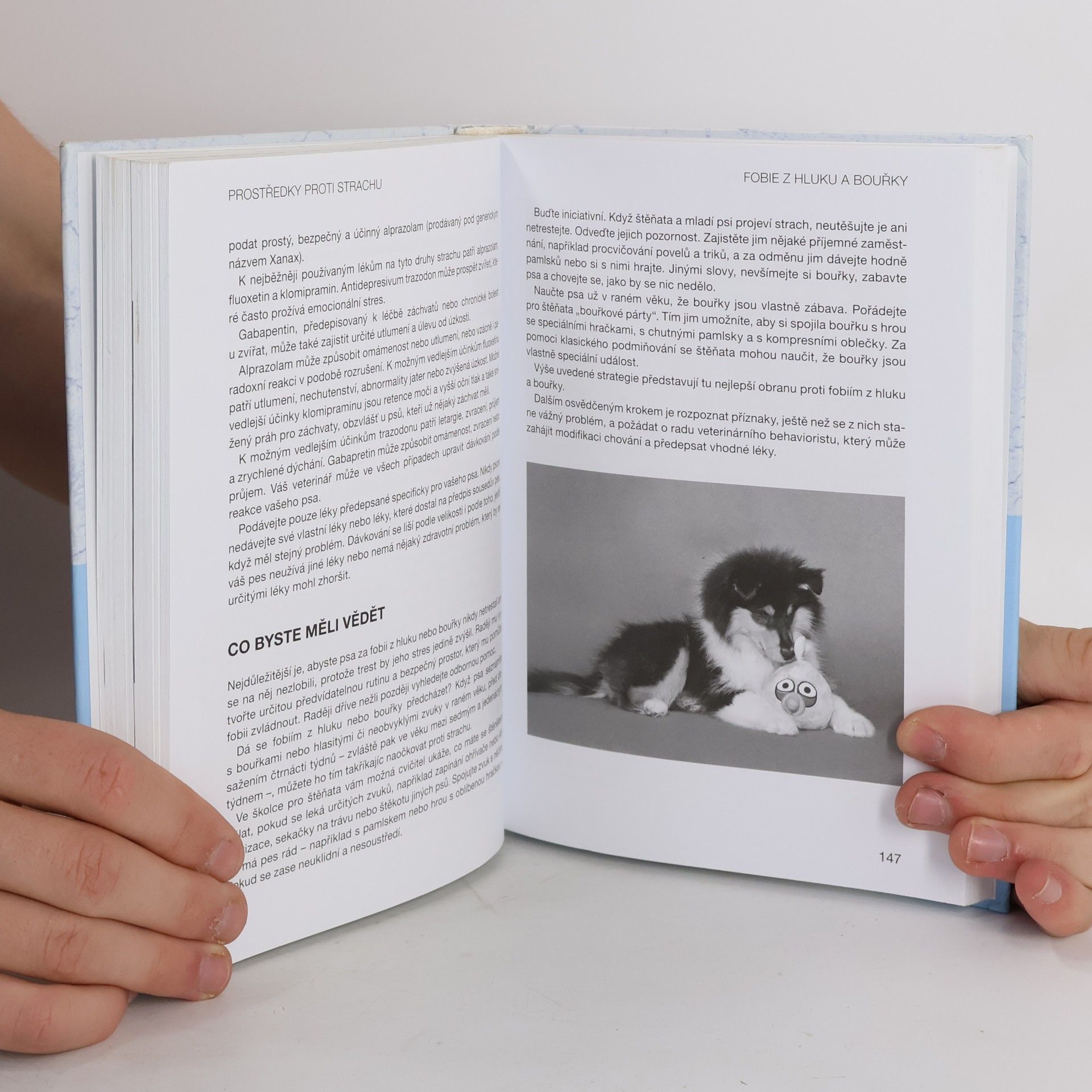 Kolektív autorov Od strachu k pohodě : zbavte svého psa obav z veterináře, návštěv, ohňostrojů...