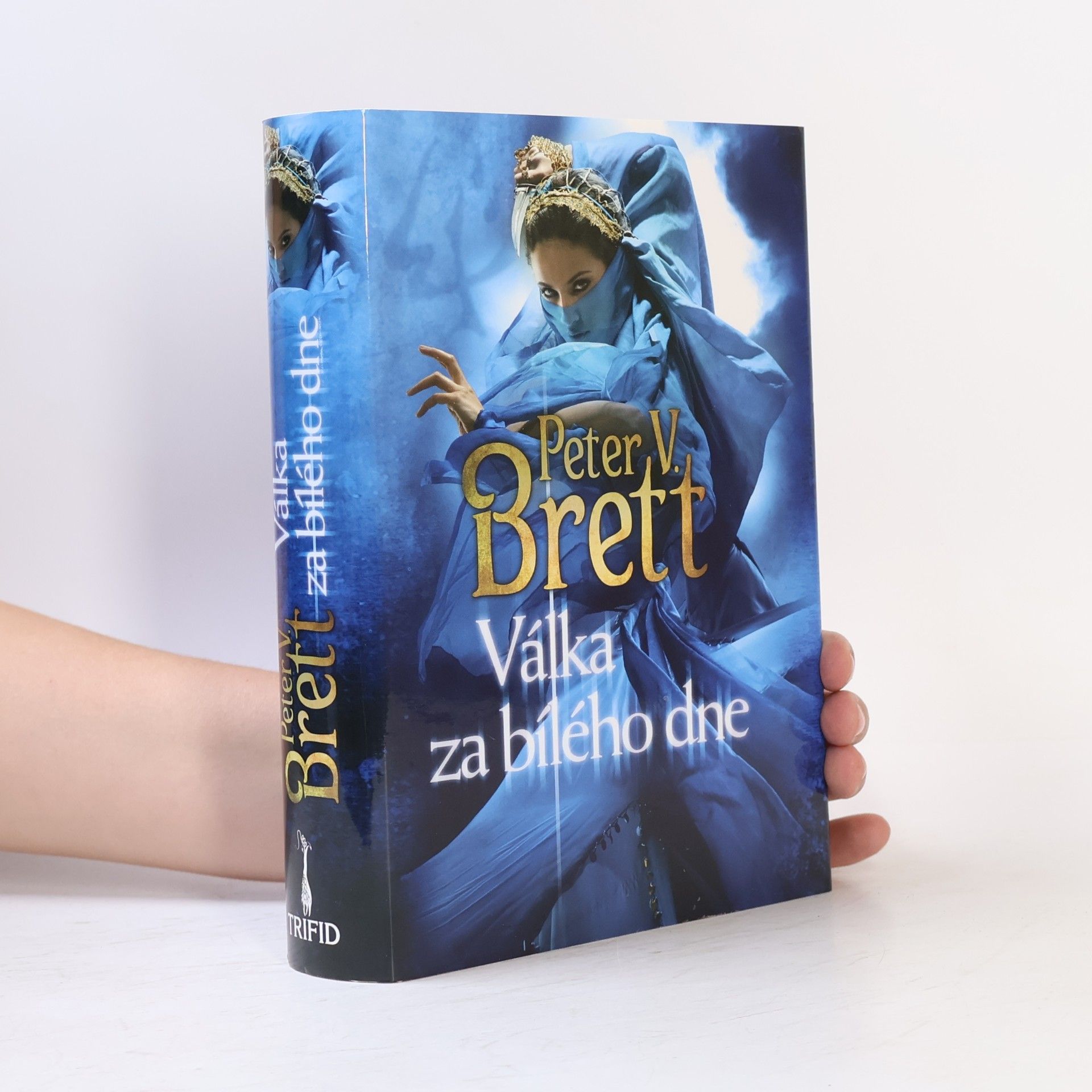 Peter V. Brett Válka za bílého dne