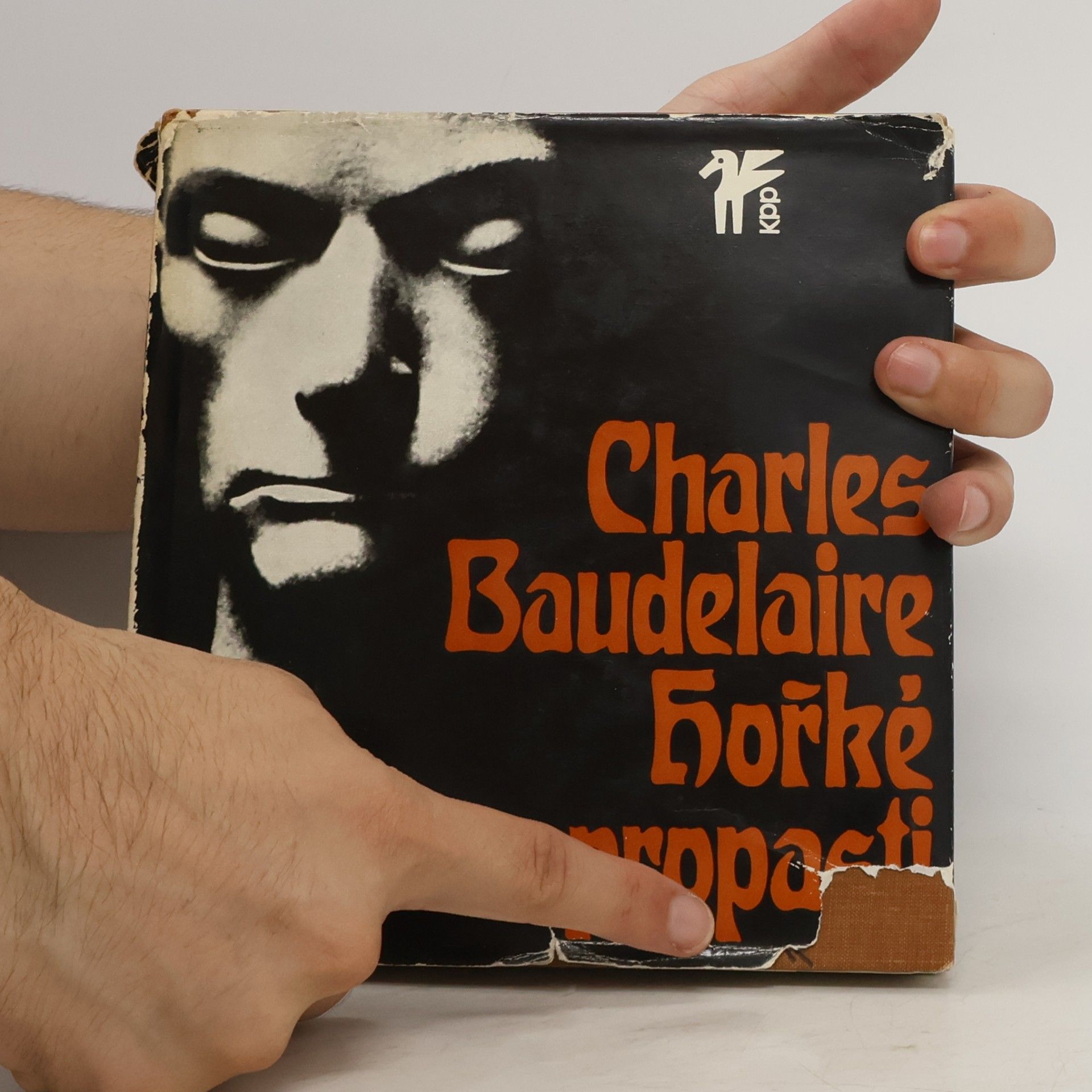 Charles Baudelaire Hořké propasti