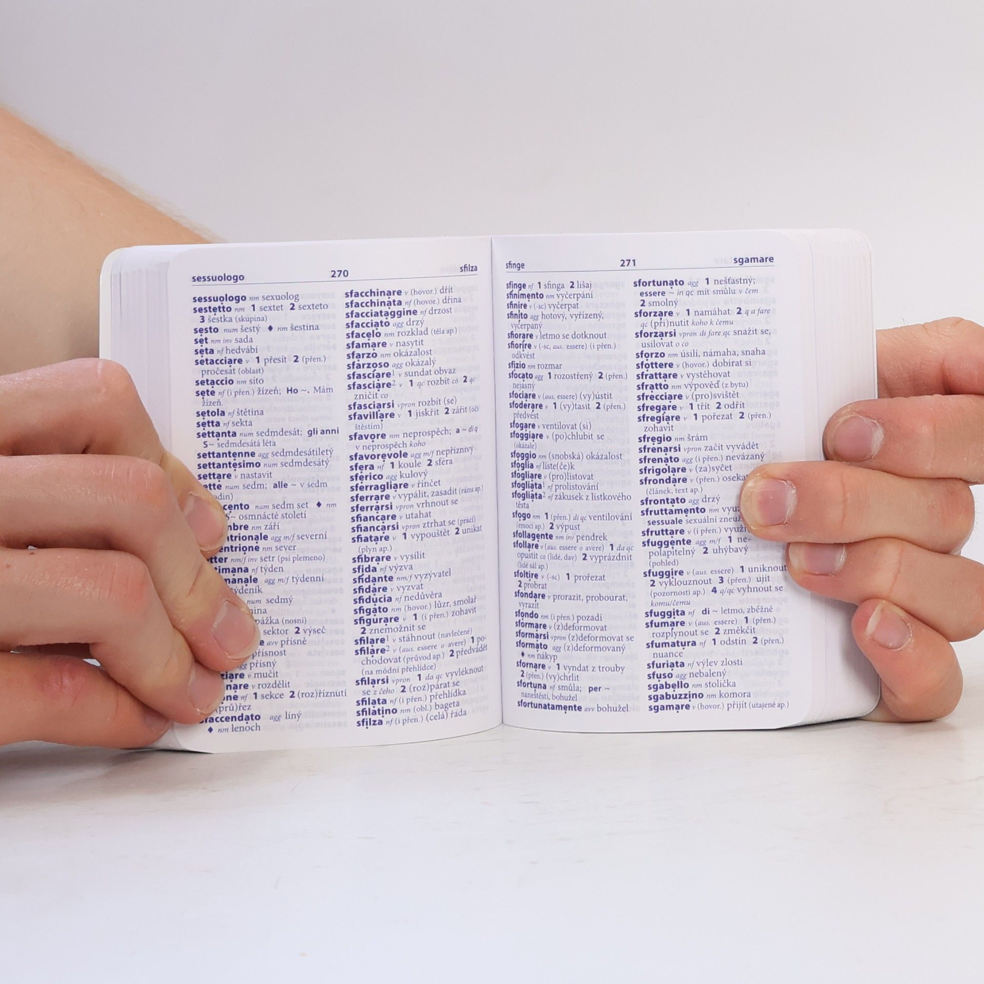Autorenkollektiv Italština : slovníček