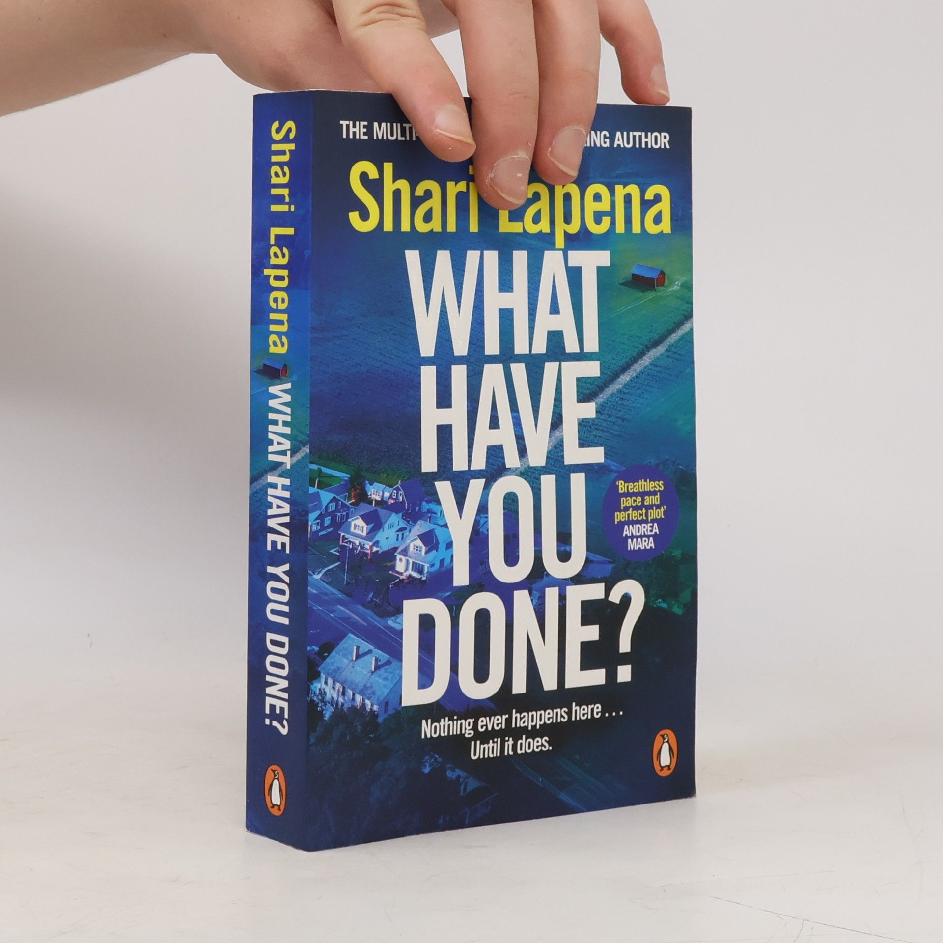 Shari Lapena What Have You Done?