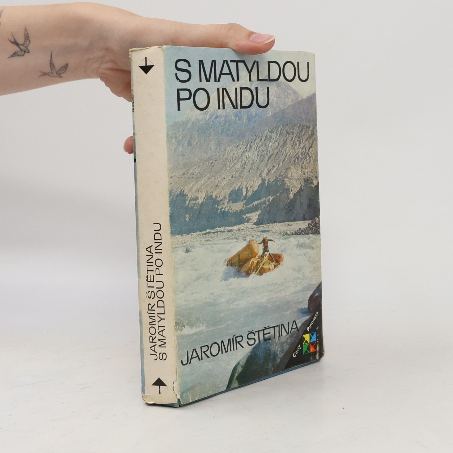 Jaromír Štětina S Matyldou po Indu