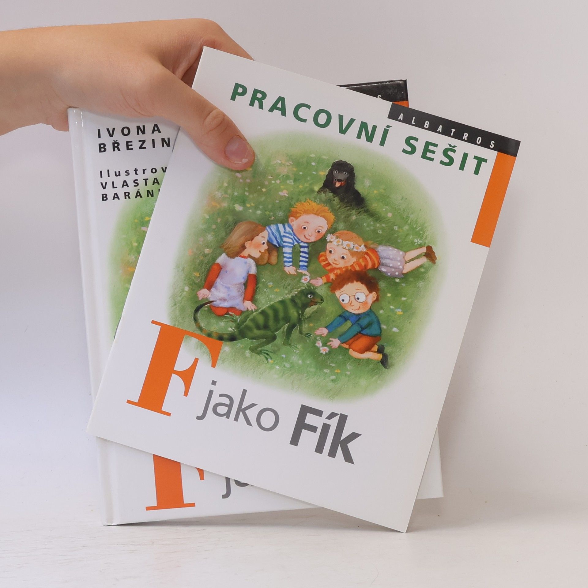 Ivona Březinová F jako Fík