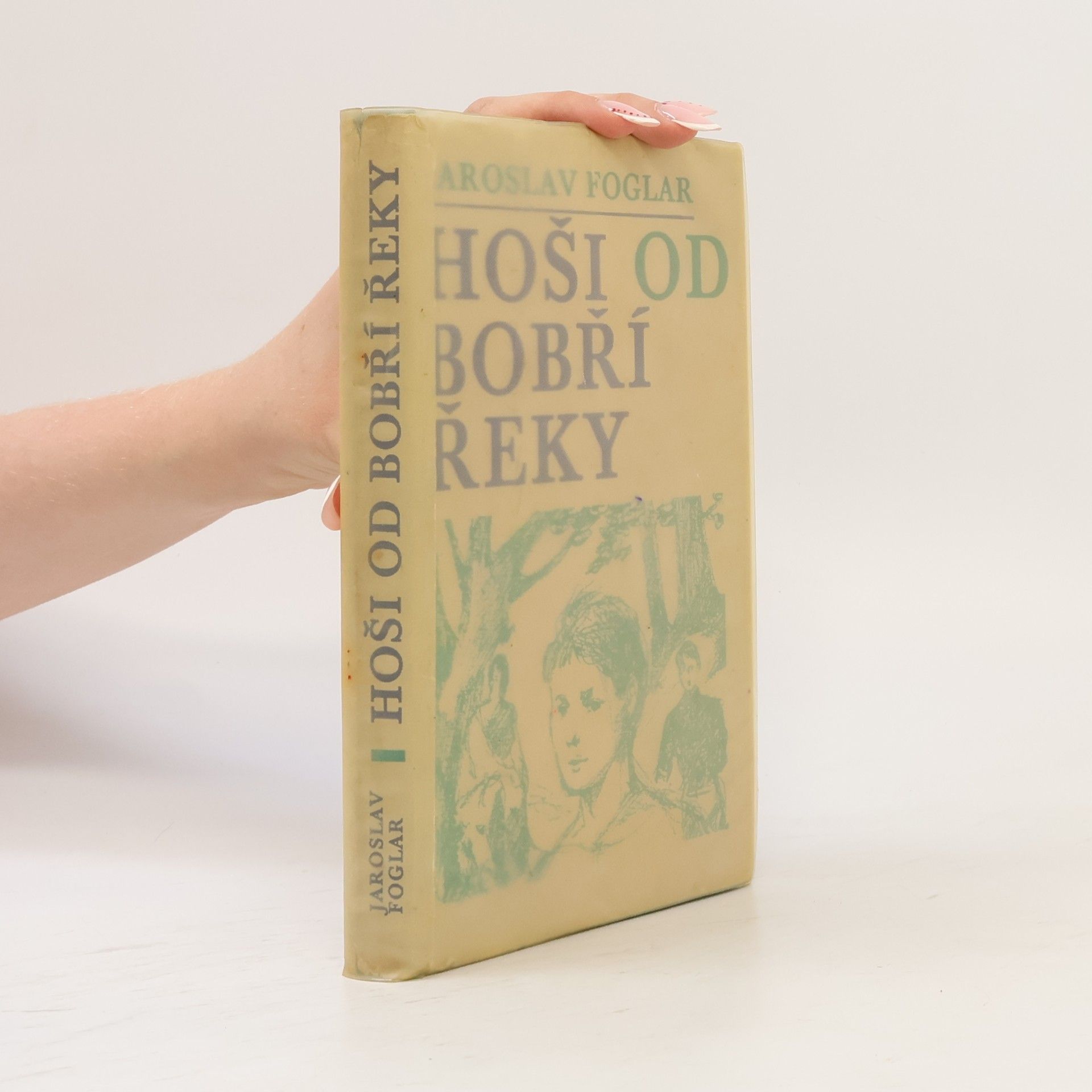 Jaroslav Foglar Hoši od Bobří řeky