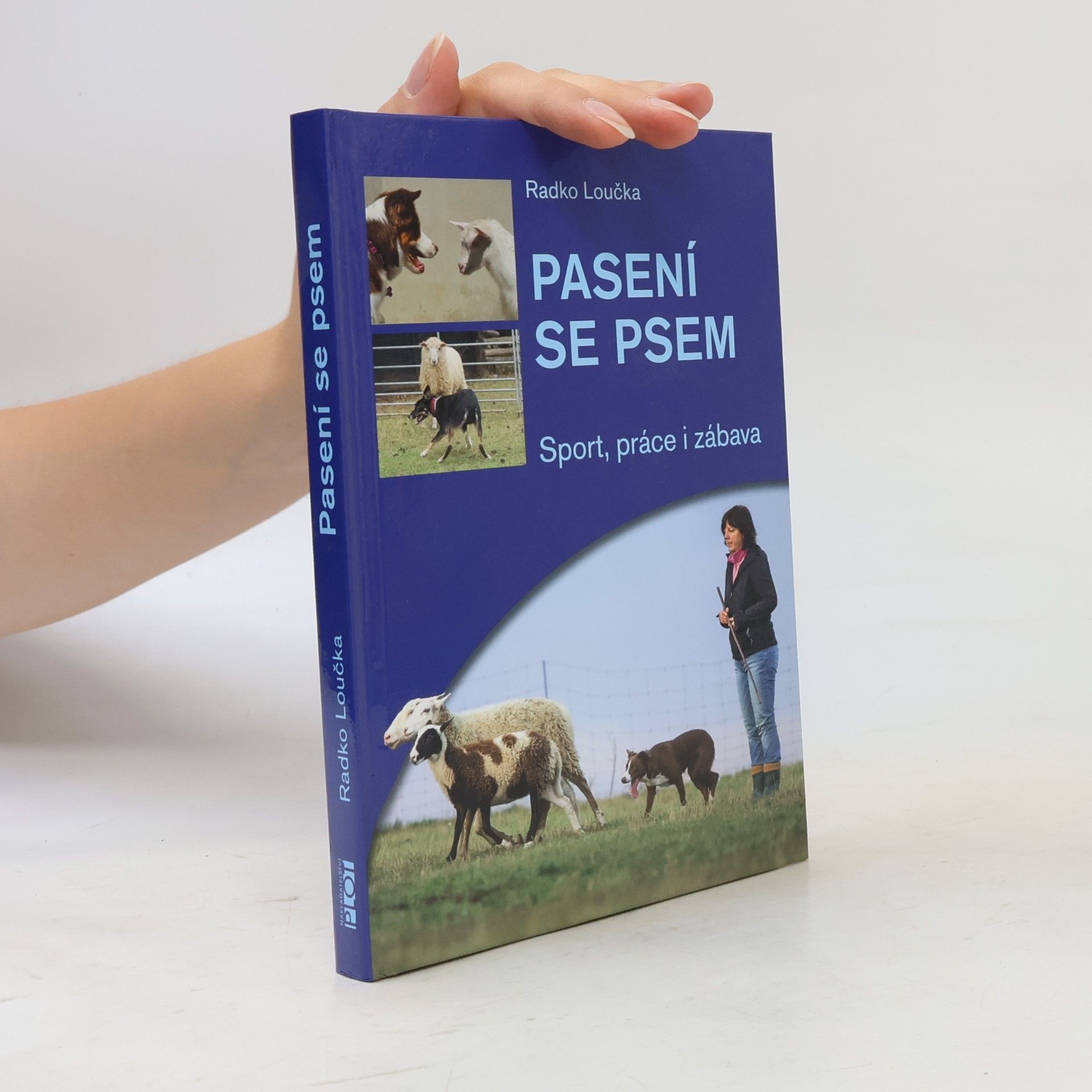 Pasení se psem - Sport, práce i zábava (nejen) pro každou borderku